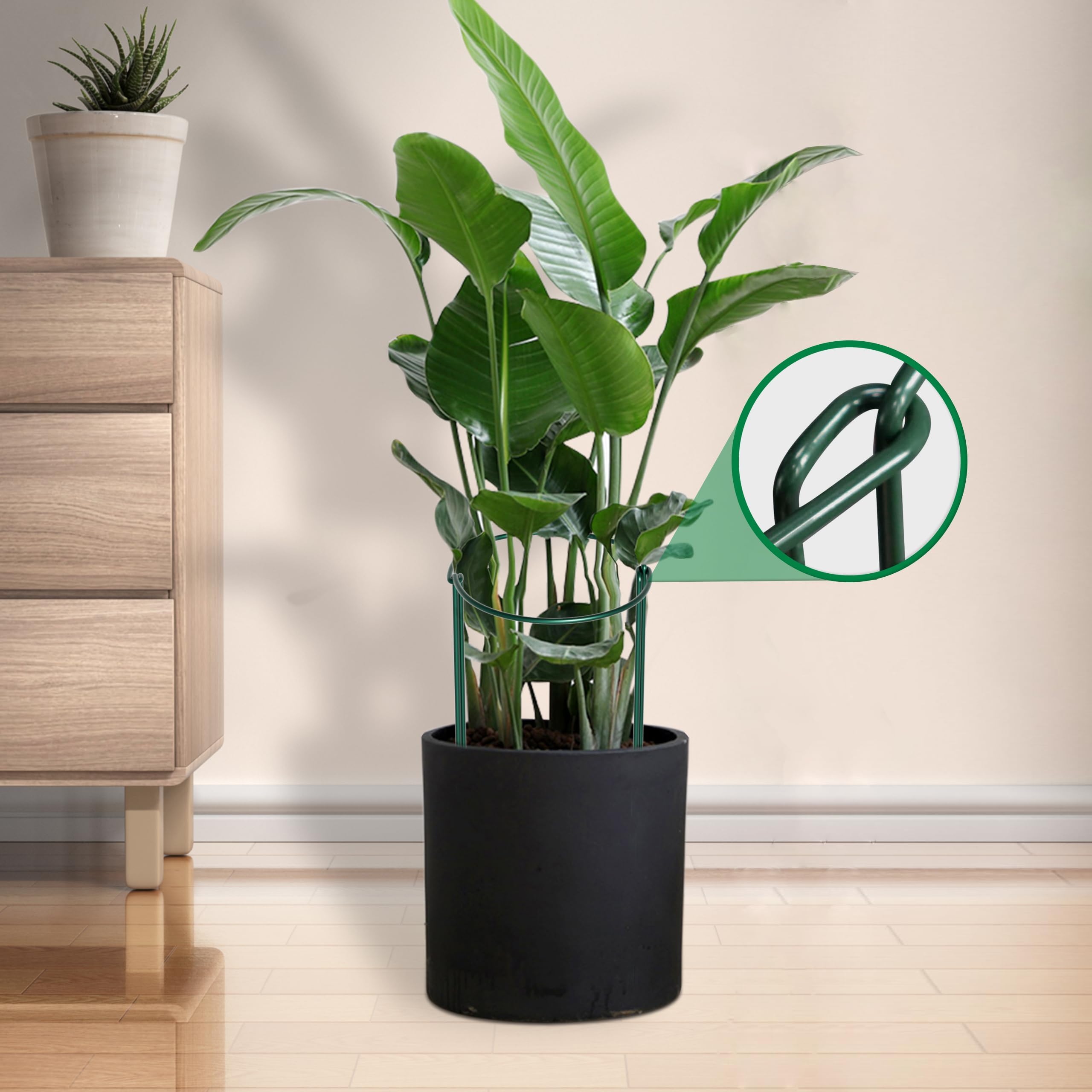 10 Staudenstützen Halbrund 25x40cm - Stabile Halterung Für Hortensien & Pfingstrosen!