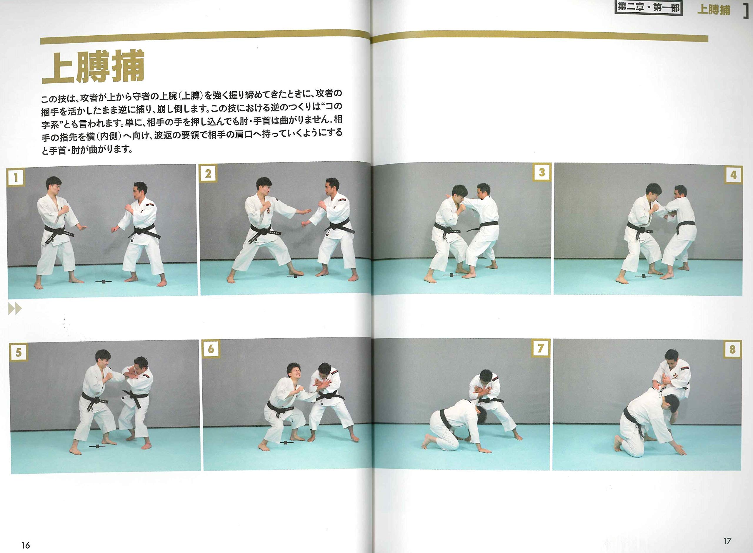 少林寺拳法　拳理体感DVD『柔法編』 少林寺拳法 拳理体感DVD『柔法編』