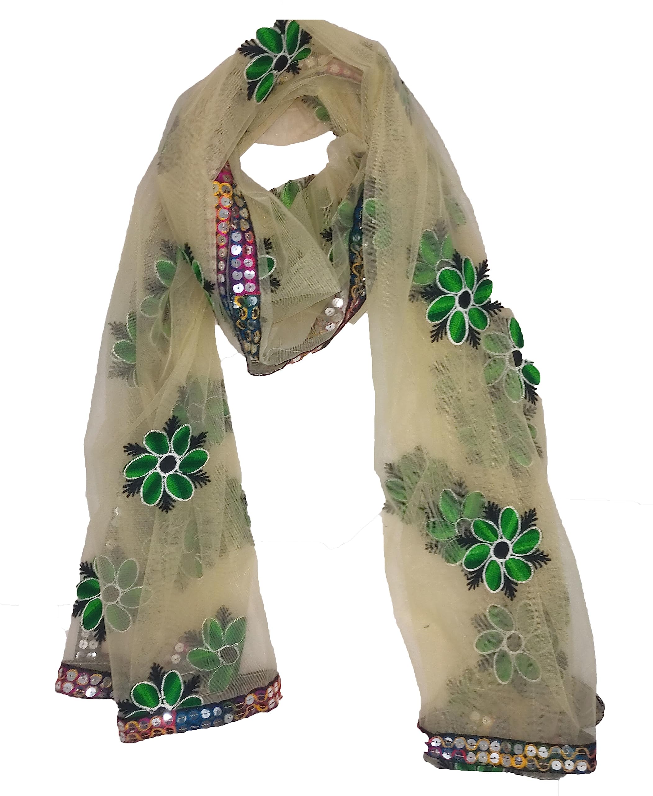 Embroidered Dupatta Net Beige DUP21181-picture-22
