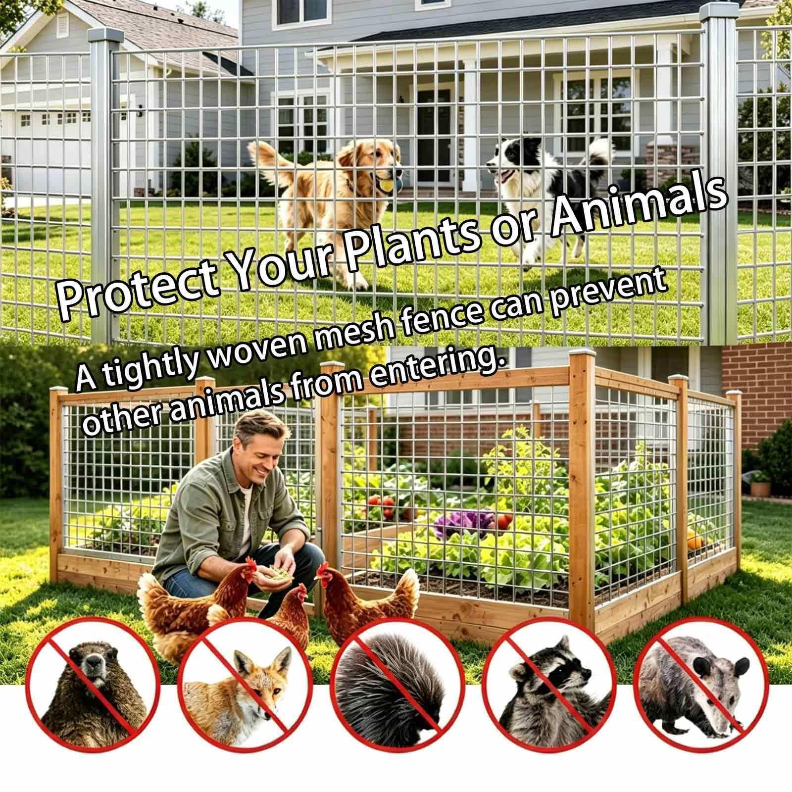 Malla Electrosoldada Disponible En Varios Tamaños Soldadura Malla Gallinero Cercado Para Cerdos Y Cabras En Patios, Jardines Y Campos,30mm*5m