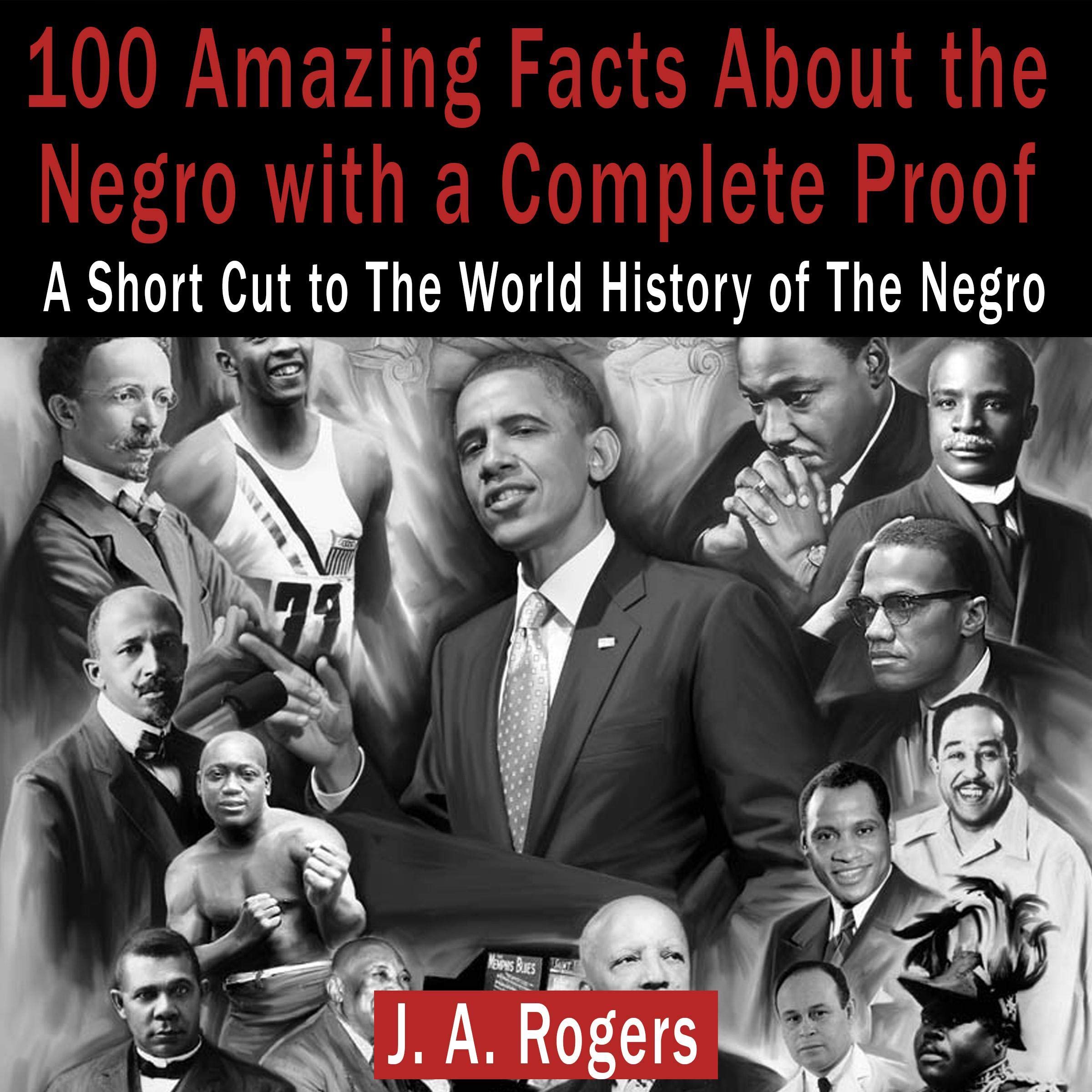 Cover art for 100 Amazing Facts About the Negro with Complete Proof