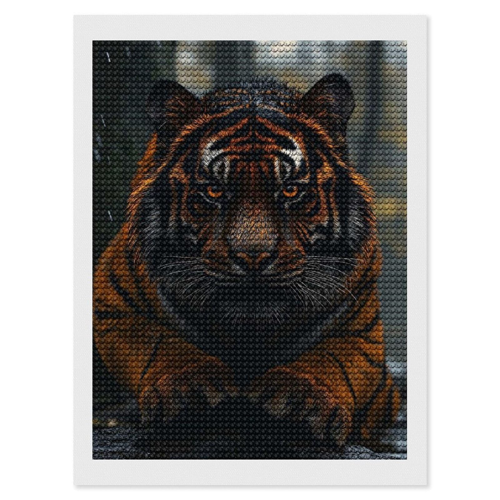 Junmoney Majestic Tiger Portrait in The Rain Crystal Diamond Art Kit 12"x16", Modern Decor, Boho Decor, Wall Art Gift, Decorative Artwork, Creative Hobby
