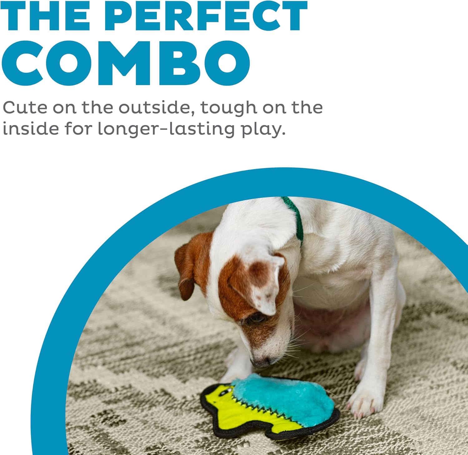Ultimate Playtime: Outward Hound Hedgehog Toy Review for Dogs!
