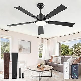 Black Smart Ceiling Fan with Light