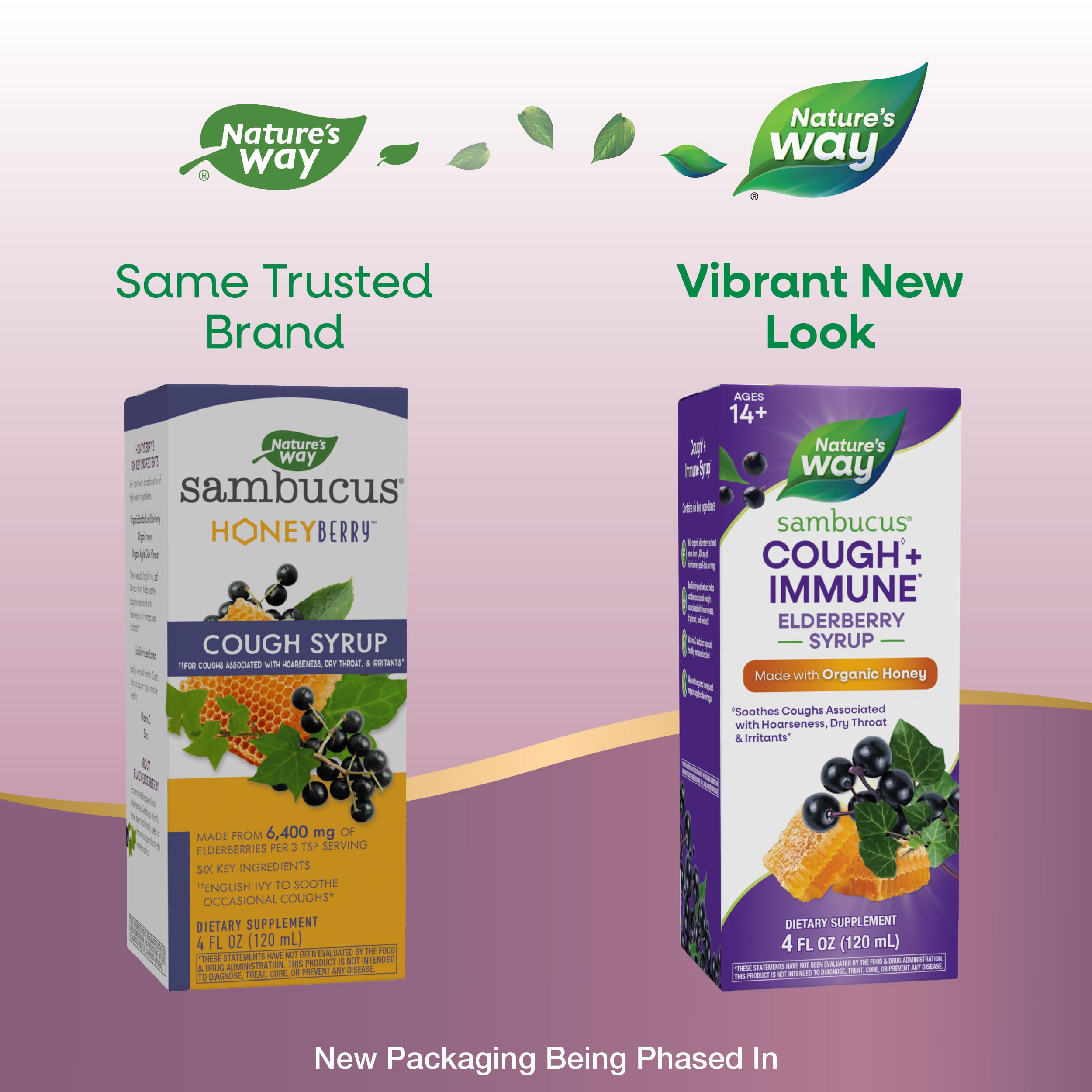 Nature's Way Sambucus Cough + Immune* Elderberry Syrup, Honey, 4 Fl Oz — Amazon image 2