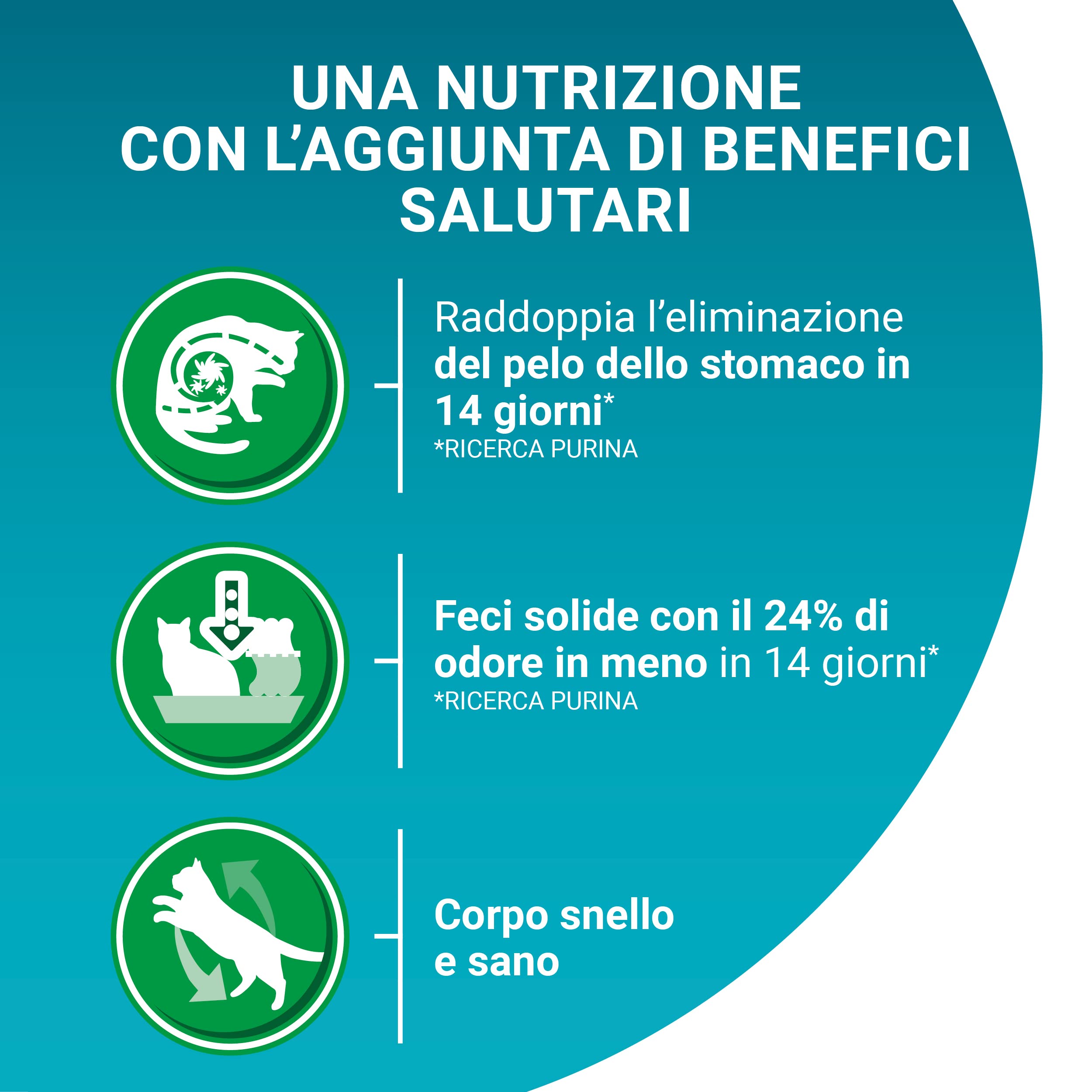 PURINA ONE Bifensis Crocchette per Gatti Adulti Ricco in Tacchino e Cereali Integrali 8 Sacchi da 800g