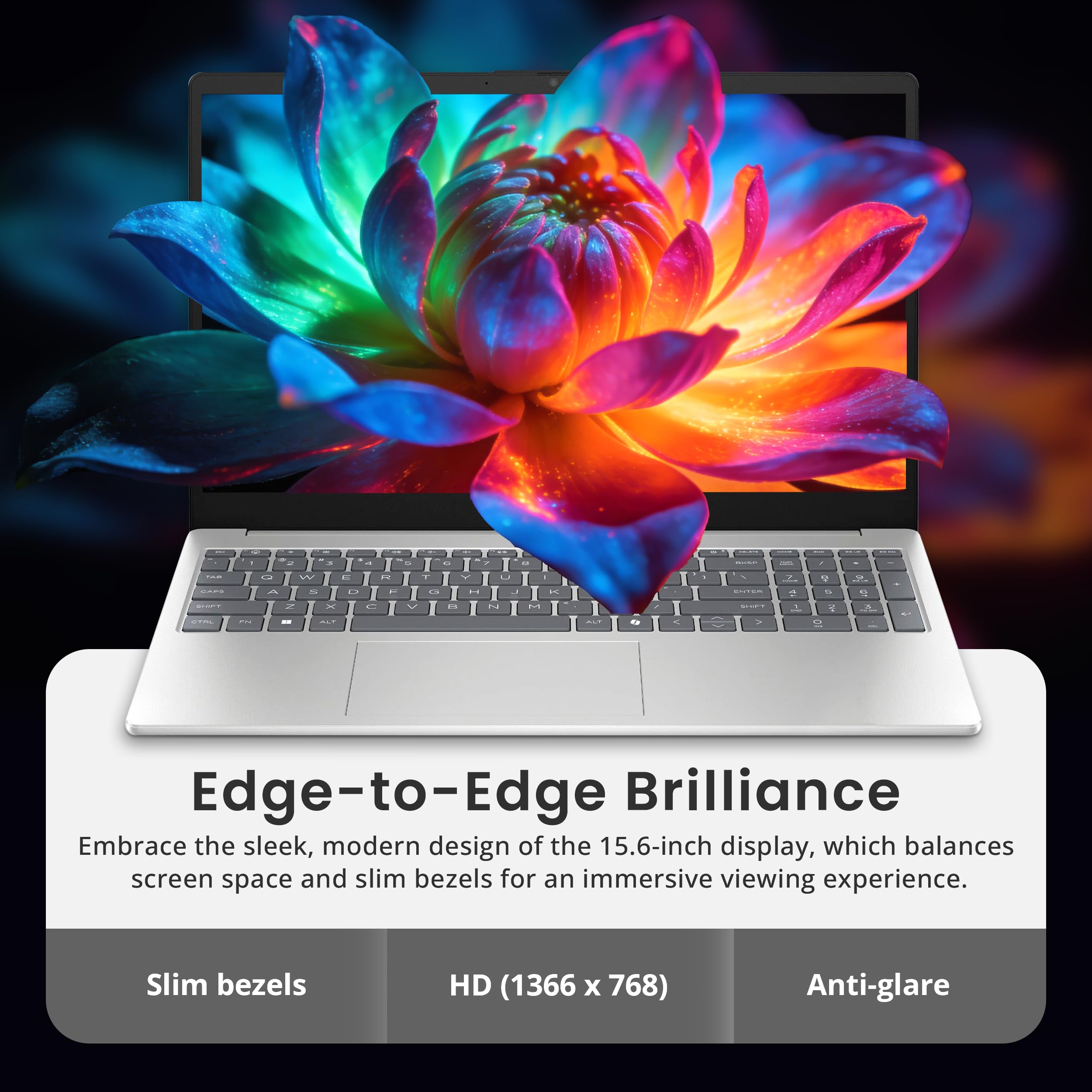 Amazon.com: HP 15.6