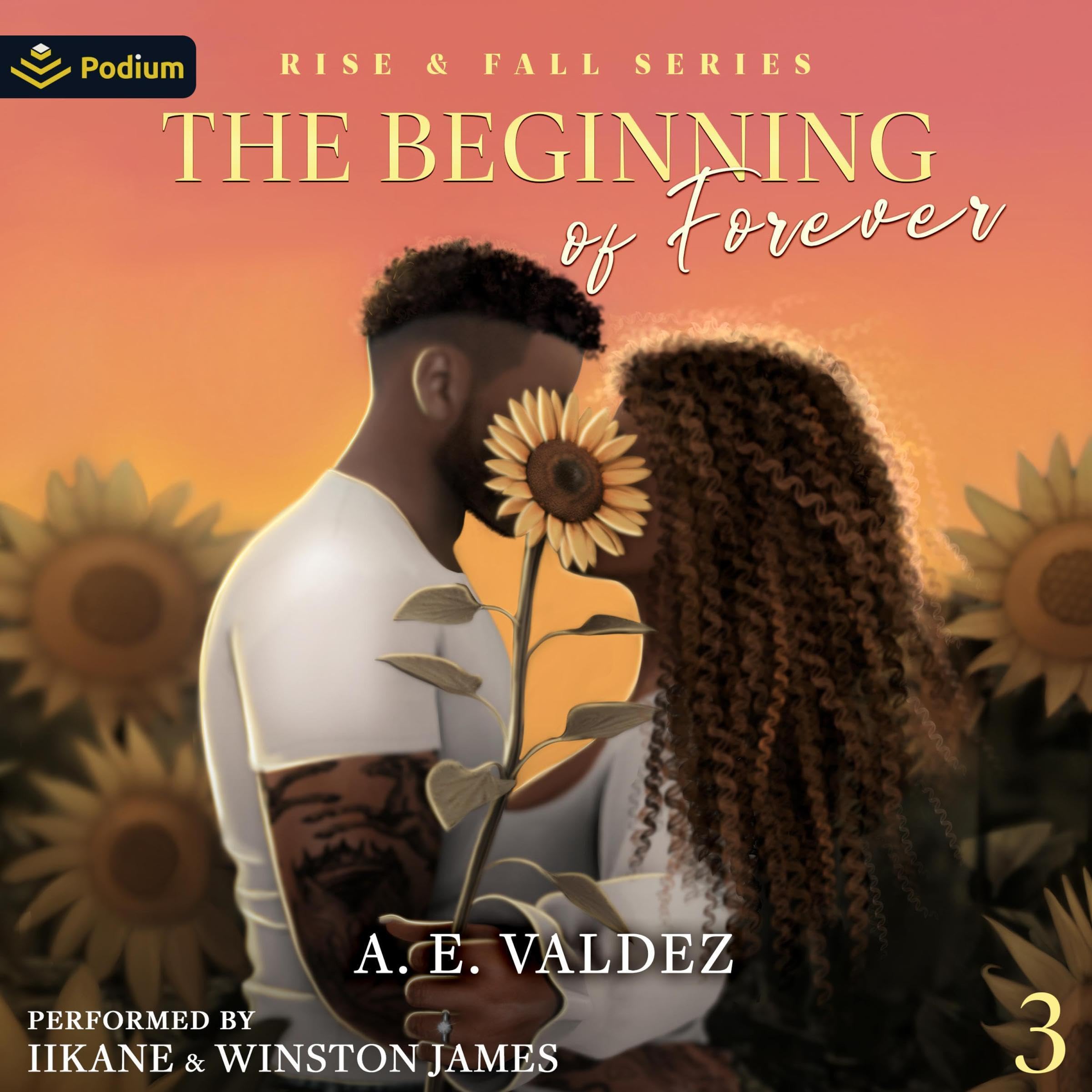 Cover art for The Beginning of Forever