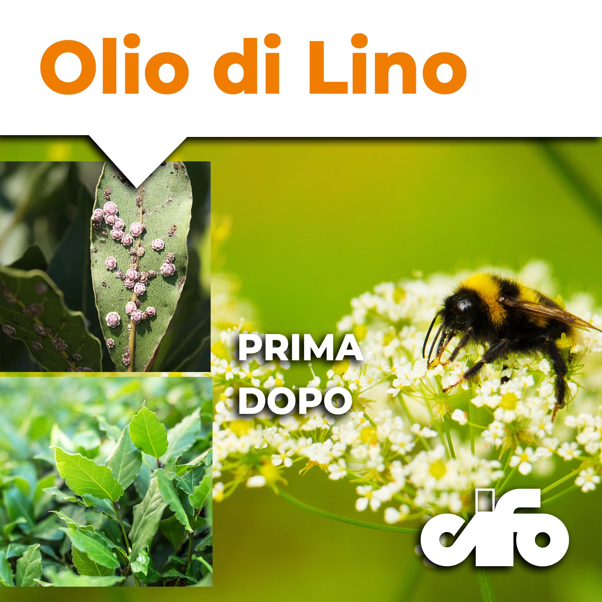 OLIO DI NEEM INSETTICIDA BIOLOGICO CONTRO PARASSITI INSETTI ORTO PIANTE NATURALE