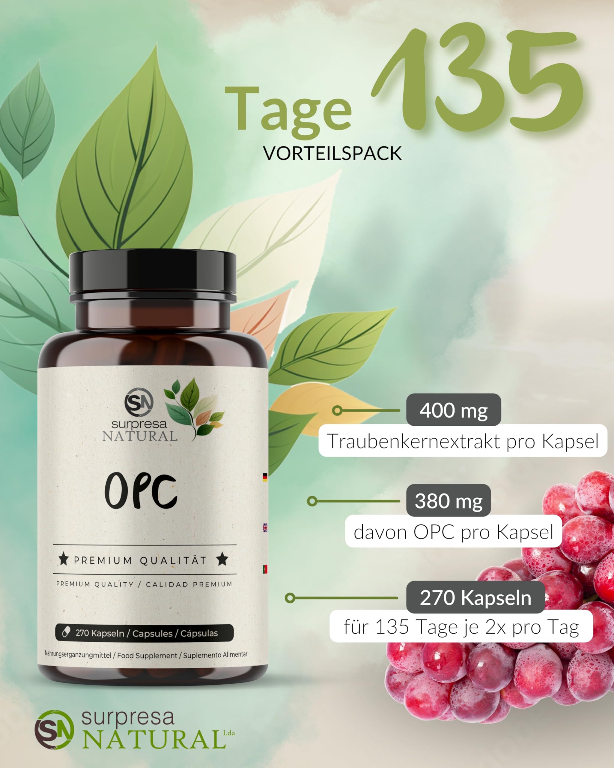 OPC Traubenkernextrakt Kapseln hochdosiert I 270 Kapseln I 400mg Extrakt pro Kapsel IOPC Kapseln aus französischen Trauben I Nahrungsergänzungsmittel vegan & laborgeprüft