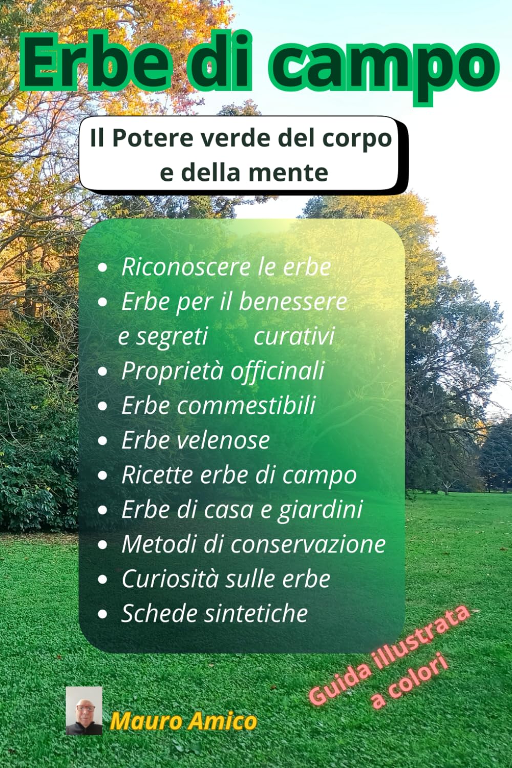 Erbe di campo: Il potere verde del corpo e della mente