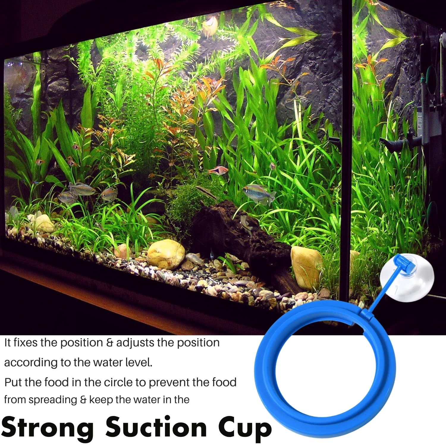 Sage Square Circle Floating Feeding Ring for Aquarium | Adjustable Suction Cup Attachment | Prevents Food Scattering | Keeps Aquarium Clean | Floating Food Tray for Flakes, Pellets | All Fish Tanks 4
