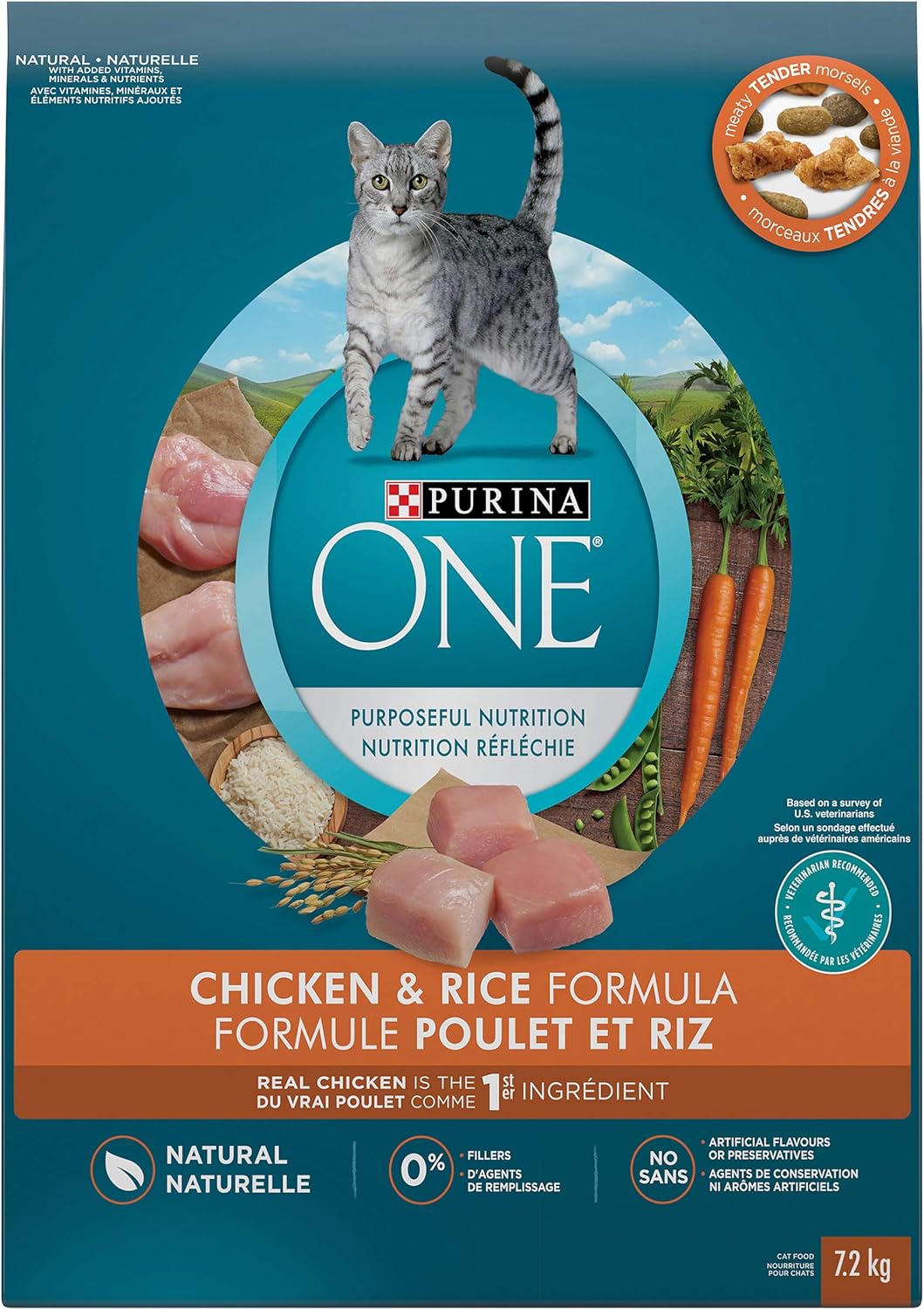 Purina ONE Natural Dry Cat Food, Chicken and Rice 7.2kg Bag Amazon.ca