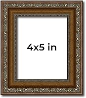 Vista 331 de Marco de fotos completo de madera dorada envejecida de 16 x 20 pulgadas con plexiglás acrílico UV, parte trasera de tablero de espuma y accesorios