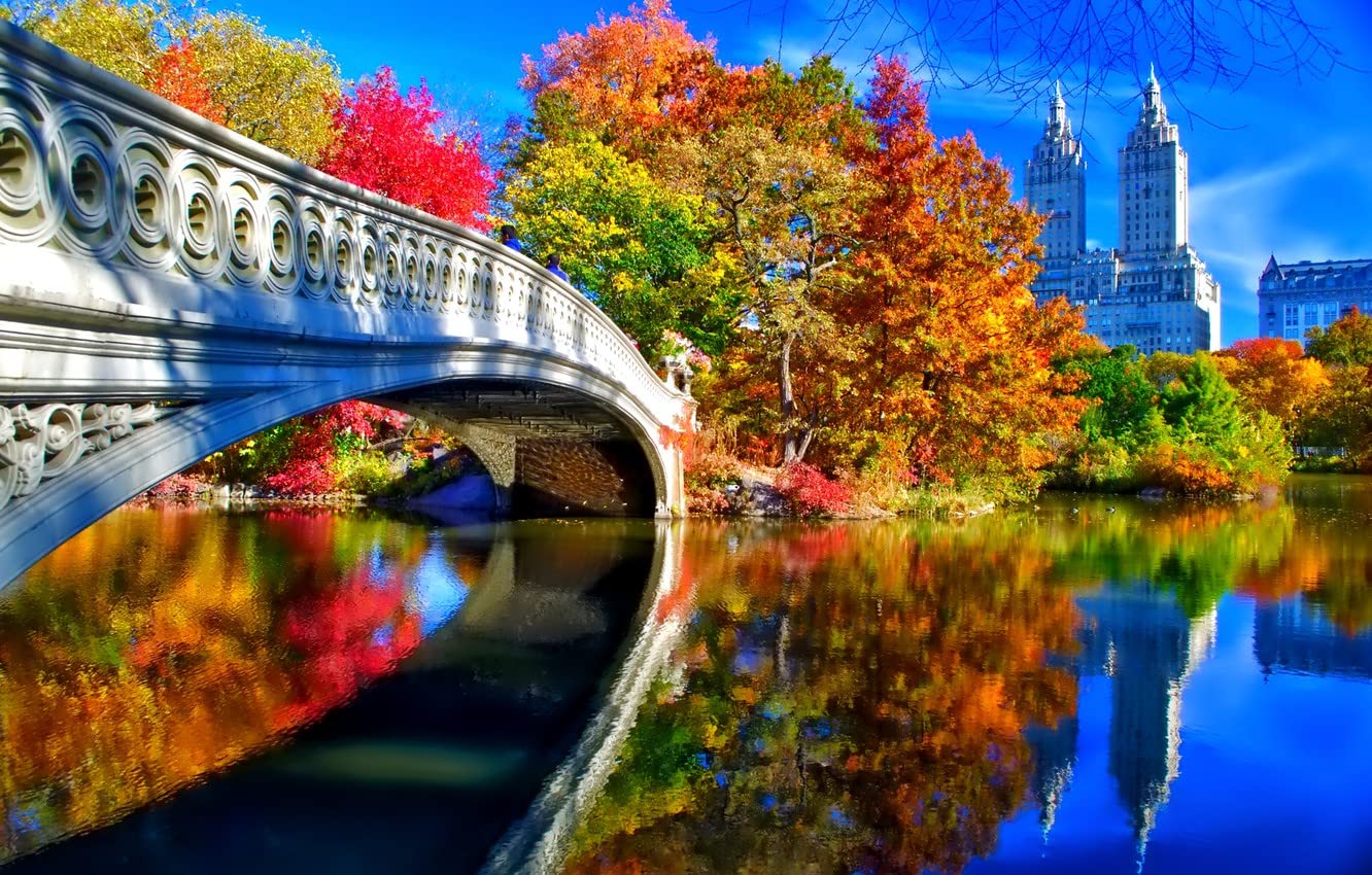 SPJOYSP Adult Paint by Numbers Paint Accessories for Children City Autumn Bridge New York City Central Park 16X20 inch with Frame