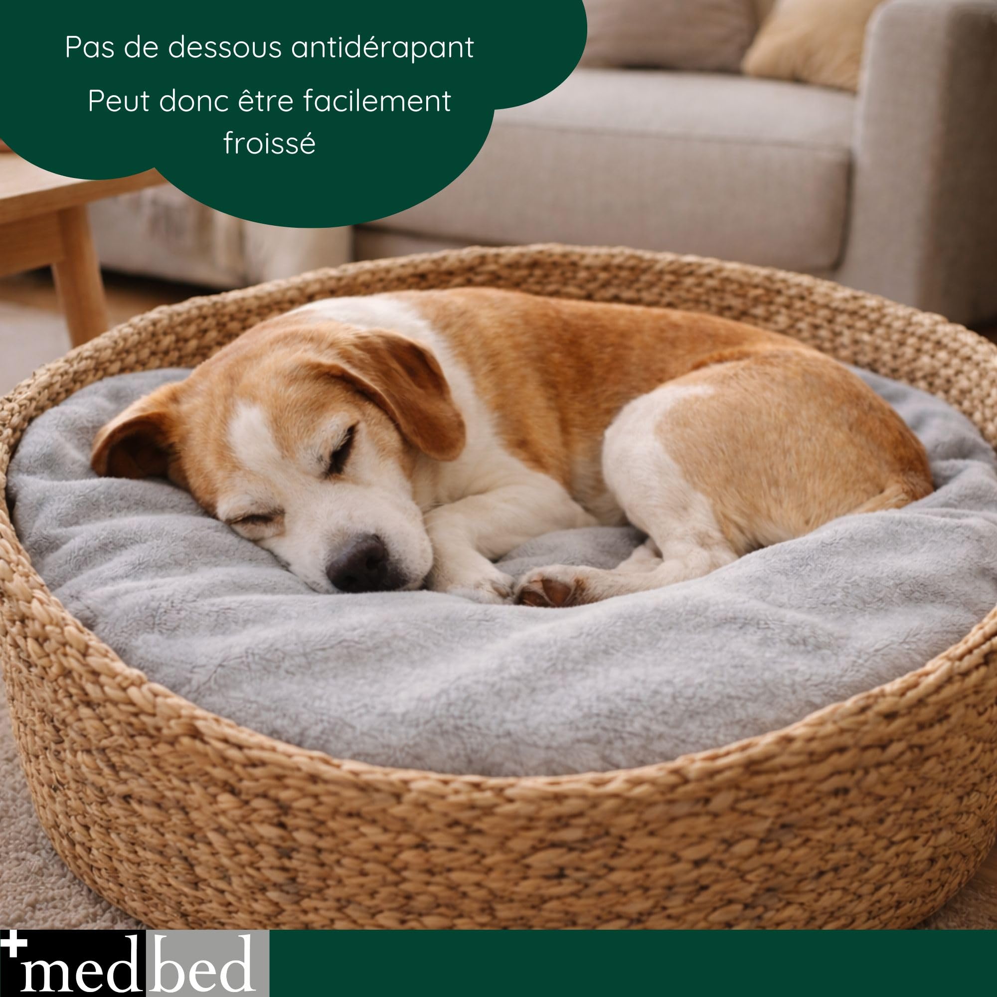 MedBed Couverture pour chien médicinale standard, d'origine, grise