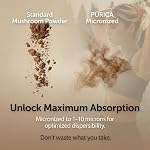 PURICA Complété 360 Champignon à spectre complet micronisé 144 Gélules, 48-Day Formule adaptogène avec Ashwagandha, Reishi, & La Manille du Lion