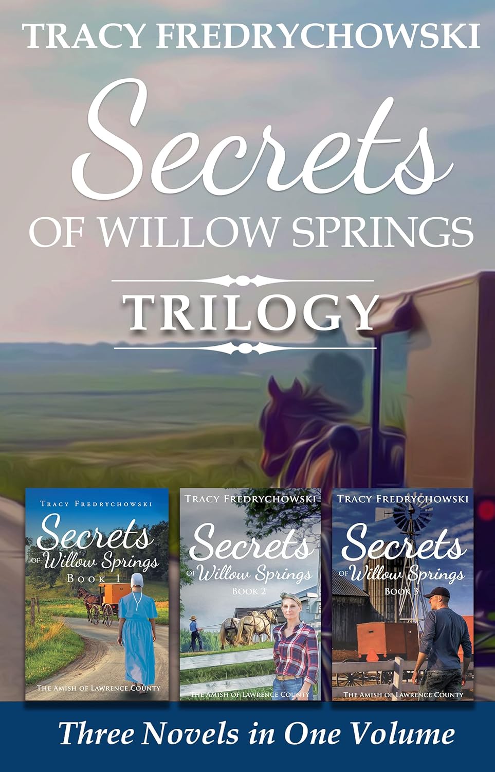 Secrets of Willow Springs Trilogy Amish Mystery Series
