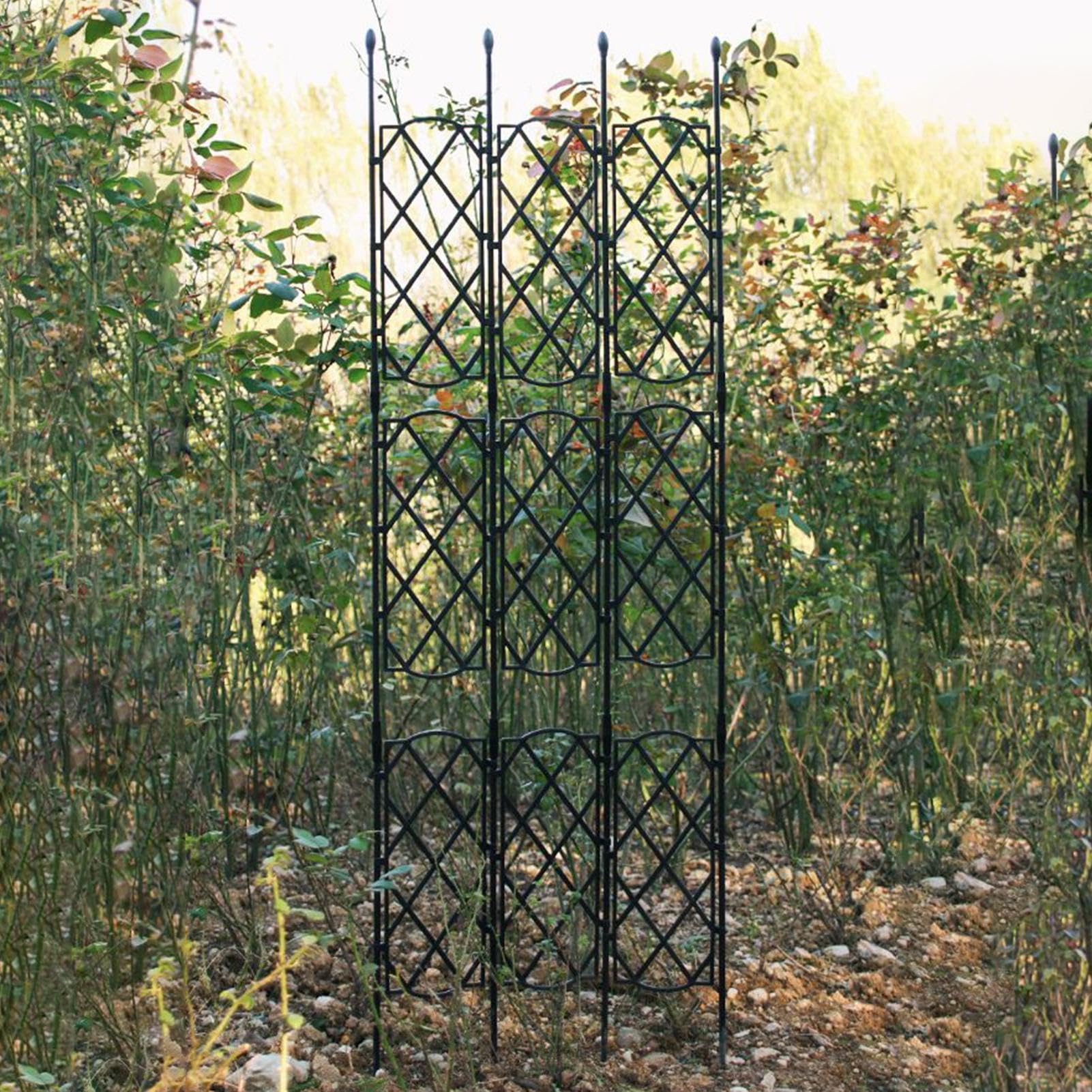 Obstgartenpflanzen Obelisk - Spalier Unterstützung für Topfpflanzen | abnehmbares Klettergerüst, Gartengeräte Weinrebenführungssystem | Gurke Efeu Pothos Indoor Outdoor Pflanzenwachstum