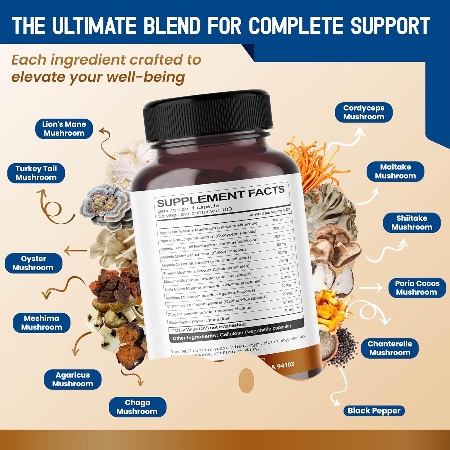 Organic Mushroom Complex with Lion's Mane, Cordyceps & Turkey Tail – Brain, Memory & Immune Support – 180 Capsules (6-Month Supply) - Image 3