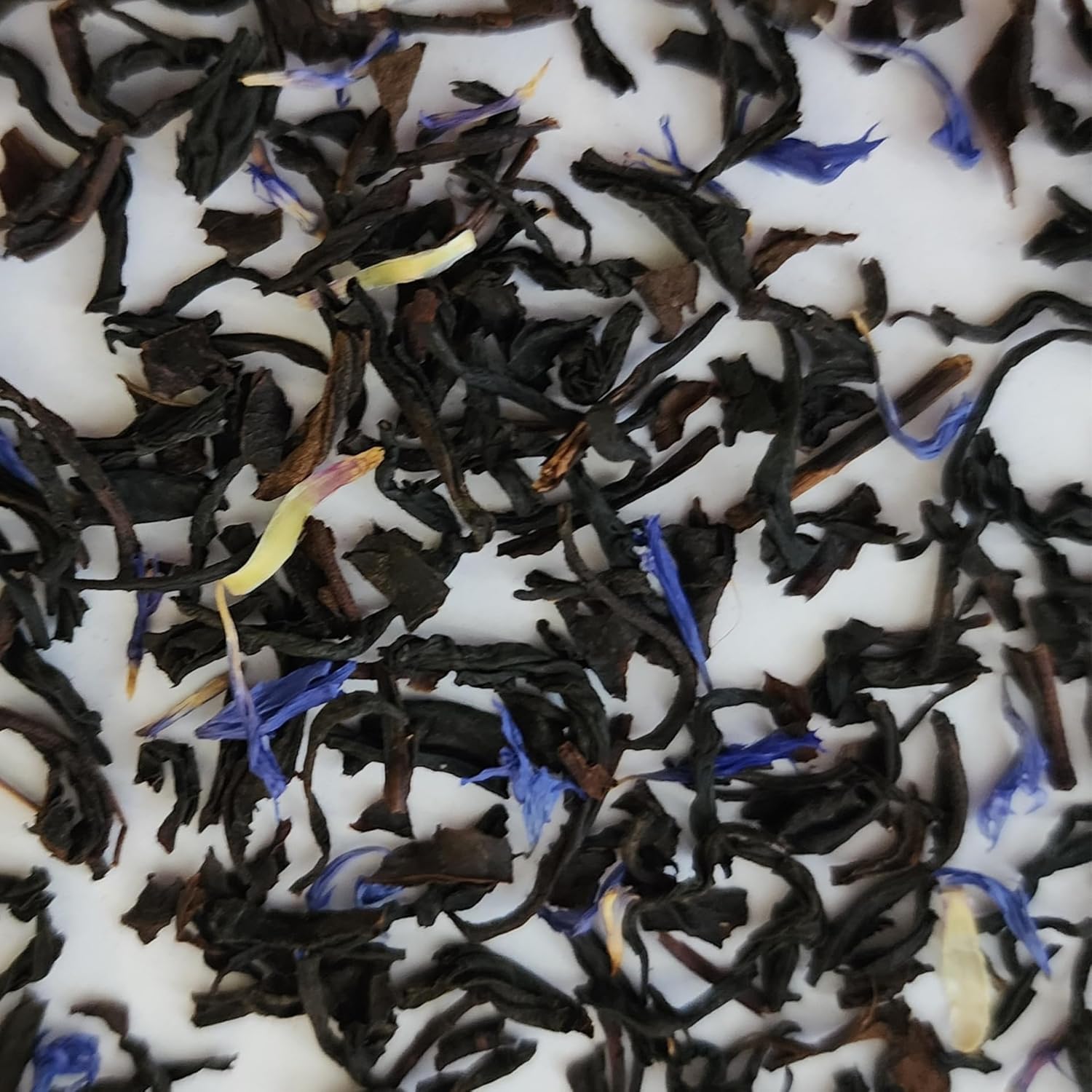 Black Currant Tea | Organic | True Leaf Tea | 4 oz