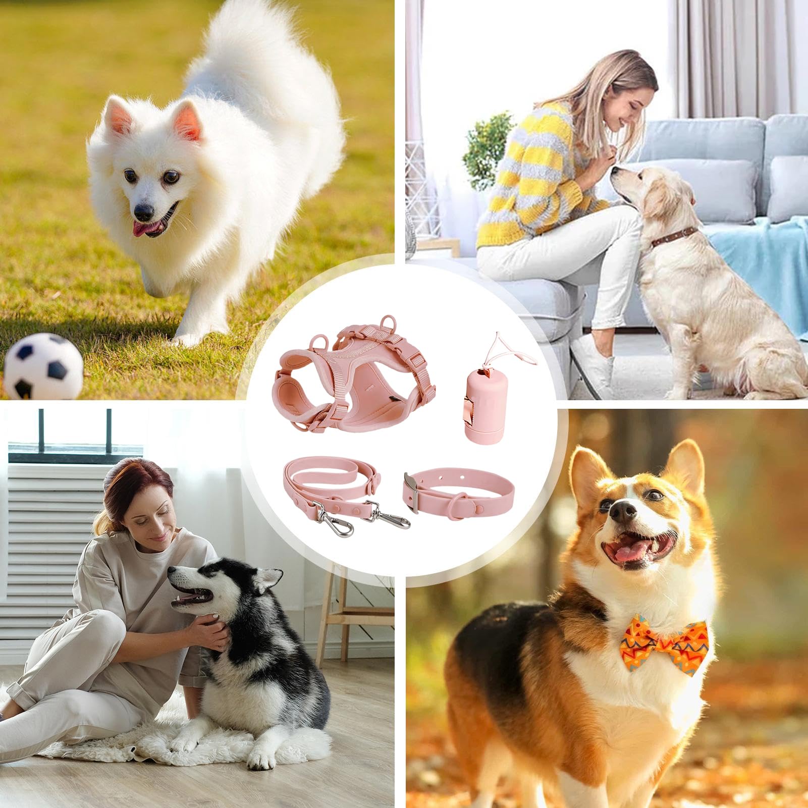 Juego de arnés para perros pequeños, juego de correas para perros | sin tirón, juego de arnés pequeño para mascotas de collar y correa, arnés ajustable sin tirones con soporte para bolsas de
