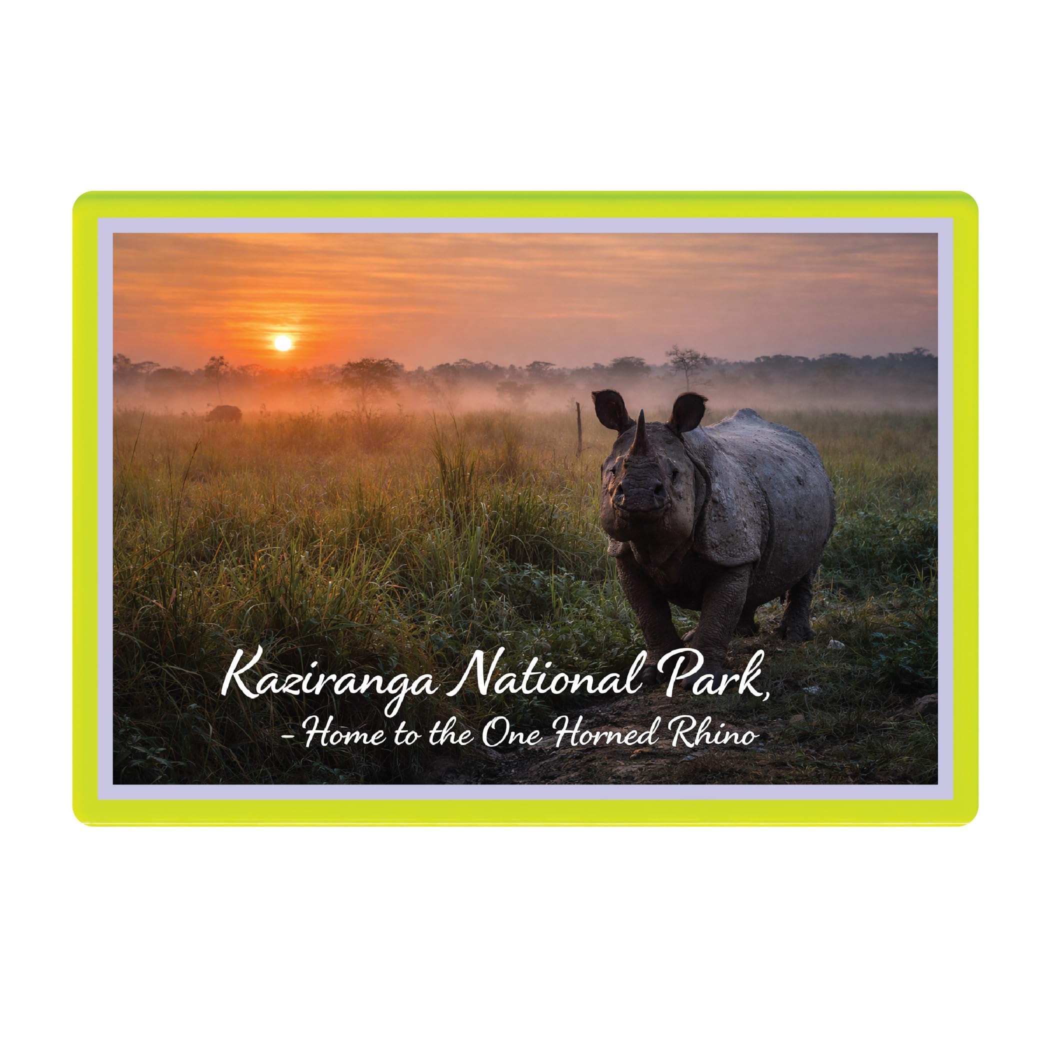 CHANDBB Decorative Fridge Magnet with Glowing Border | Pack of 1 (Kaziranga National Park, Assam - Home to the One Horned Rhino, 4x3 inch - Fluorescent Border)