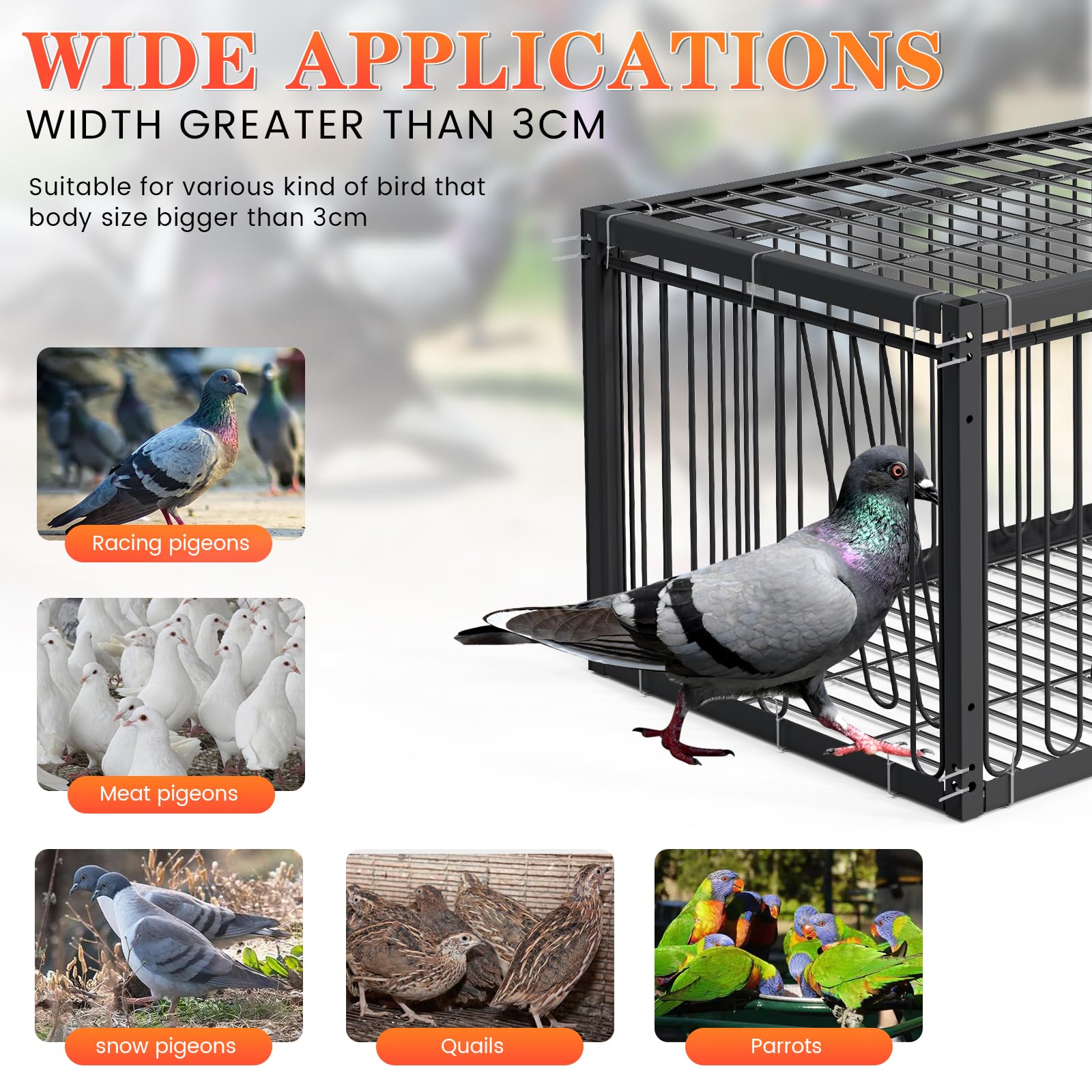 Jaula para palomas, 40 cm, con diseño de entrada numérica y especial para atrapar palomas, pájaros u otros animales pequeños, resistente y duradera, incluye 100 unidades de ataduras, negro
