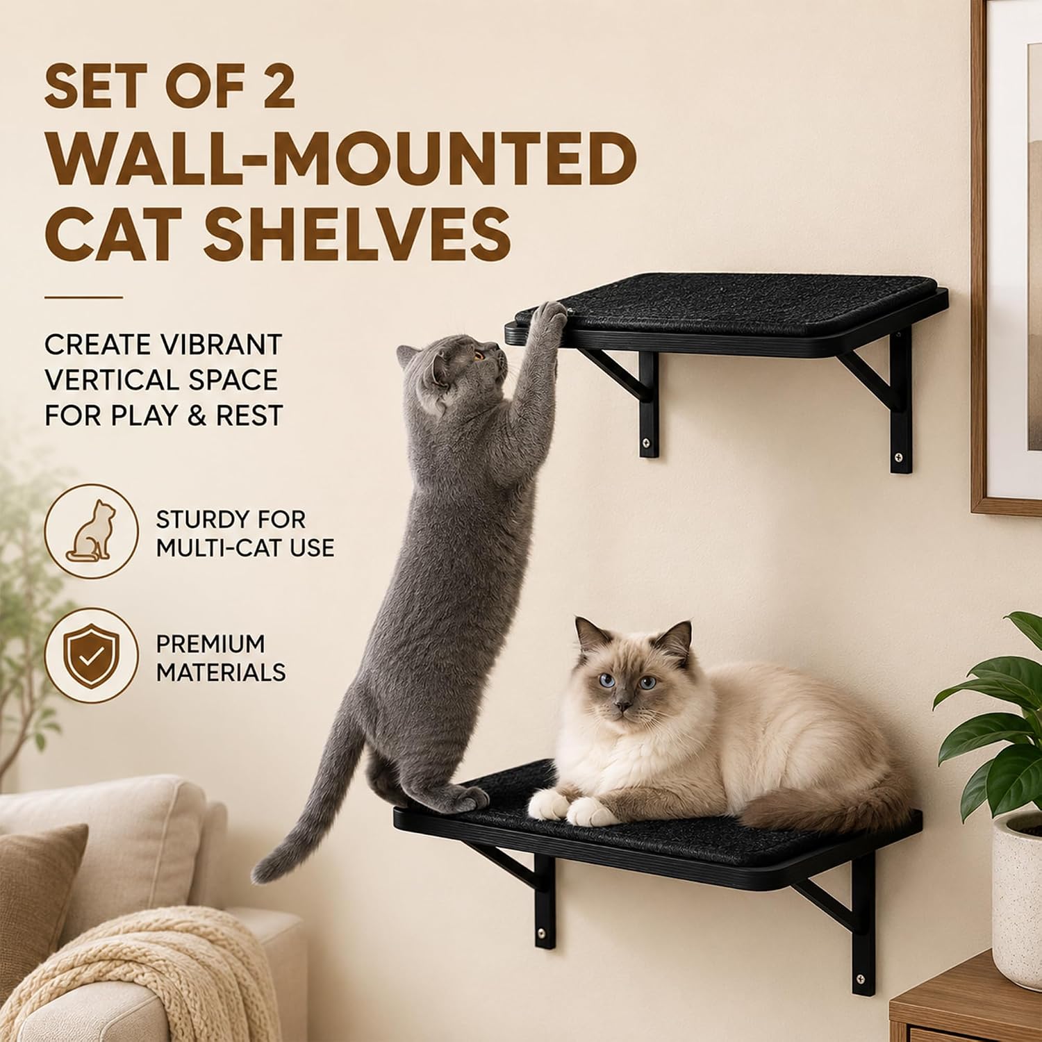 Cat Wall Shelves Set of 2, Black Solid Wood Window Perches with Sisal Mats | Removable Black Sisal Mats, Wall-Mounted Cat Furniture for Climbing, Scratching and Lounging, 16.6 x 9.7 Inch