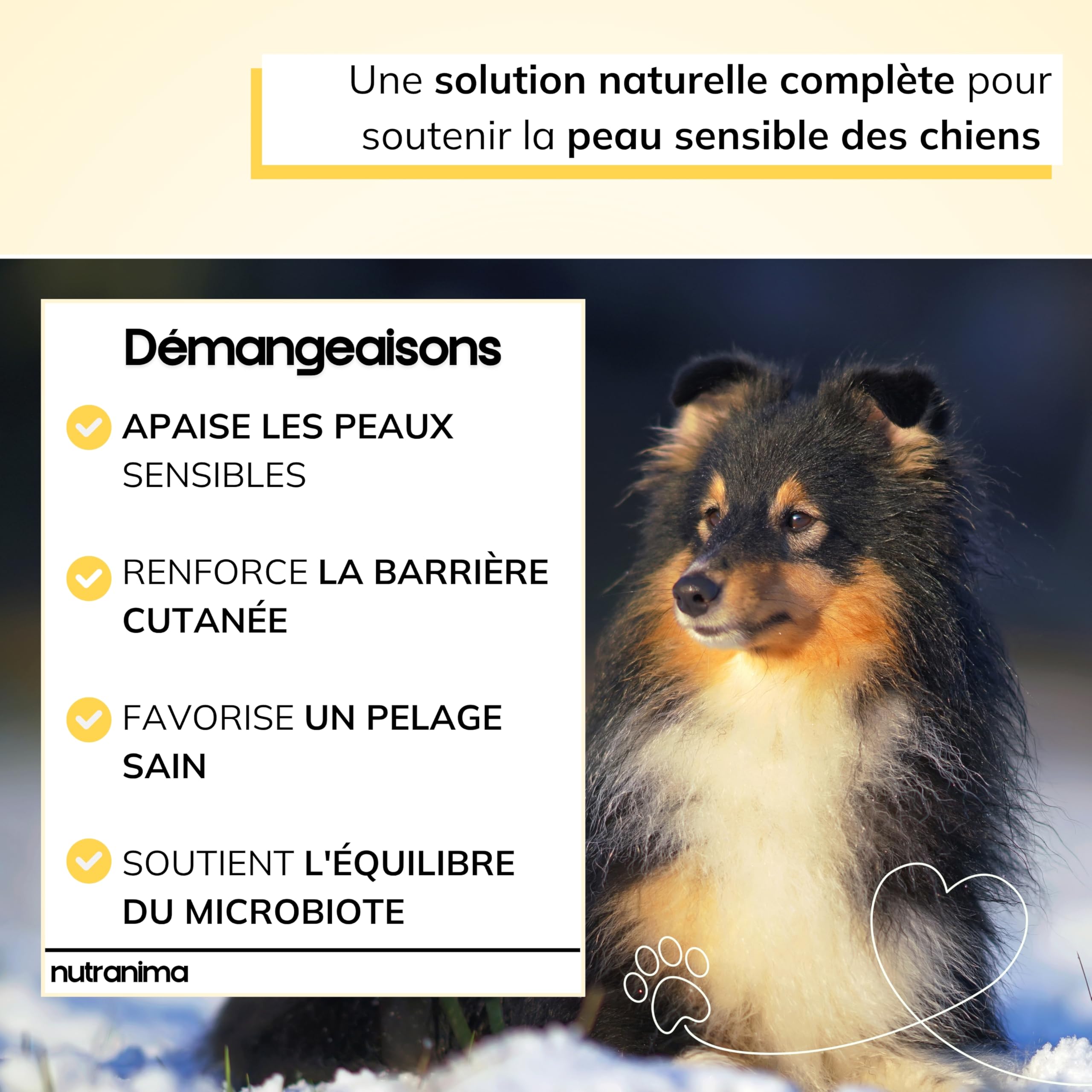 Démangeaisons Chien | KynoSil® Silicium & Collagène | Oméga-3, Probiotiques, Biotine & Zinc | Complément Peau & Pelage | 60 bouchées | Formule Vétérinaire Française
