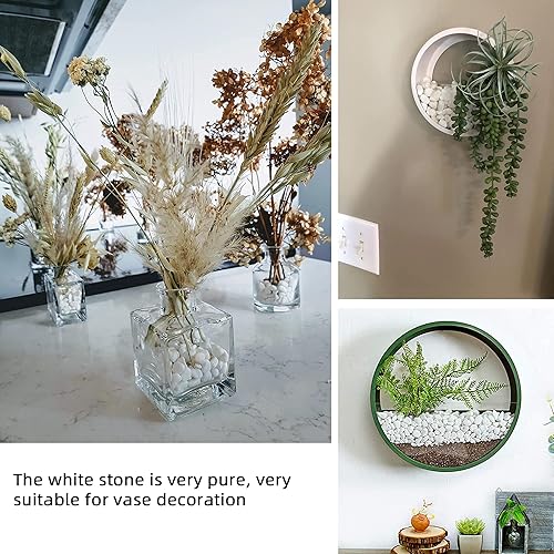 Miniatura 4 de Guijarros blancos para plantas, jarrones de jardín, 1.8 libras, rocas blancas, grava piedra decorativa de 12 "