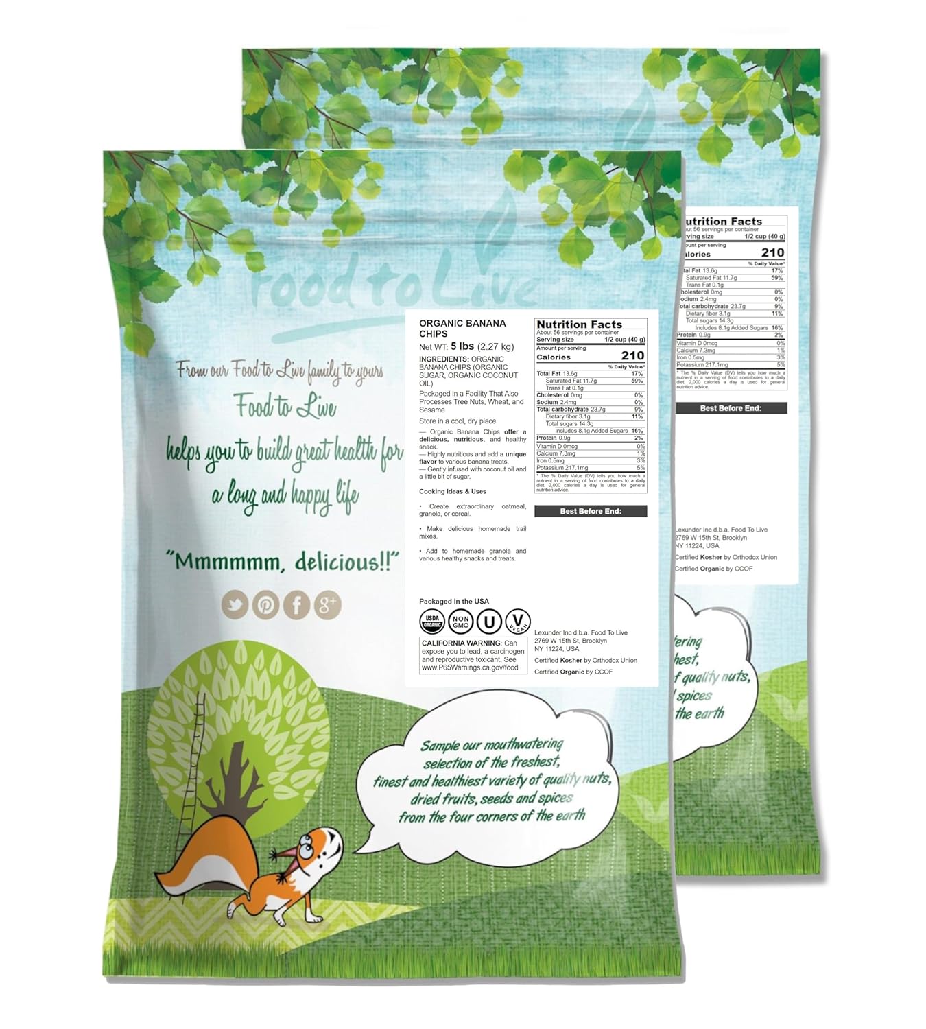 Food to Live Organic Banana Chips, 10 Pounds Sweetened, Unsulfured, Non-GMO, Kosher, Vegan, Bulk