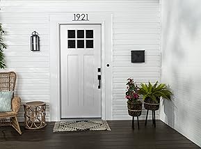 8 Best Exterior Paint House Colors Widely Used 13 81tBNBAlbEL. AC SL289