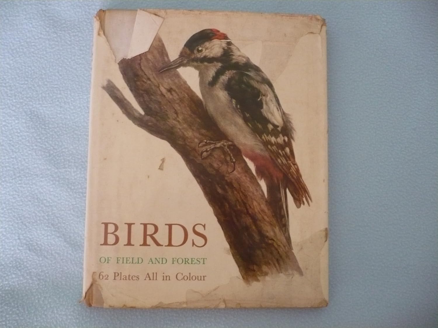 Birds of Field and Forest E. DeMartini, O. Stepanek Books