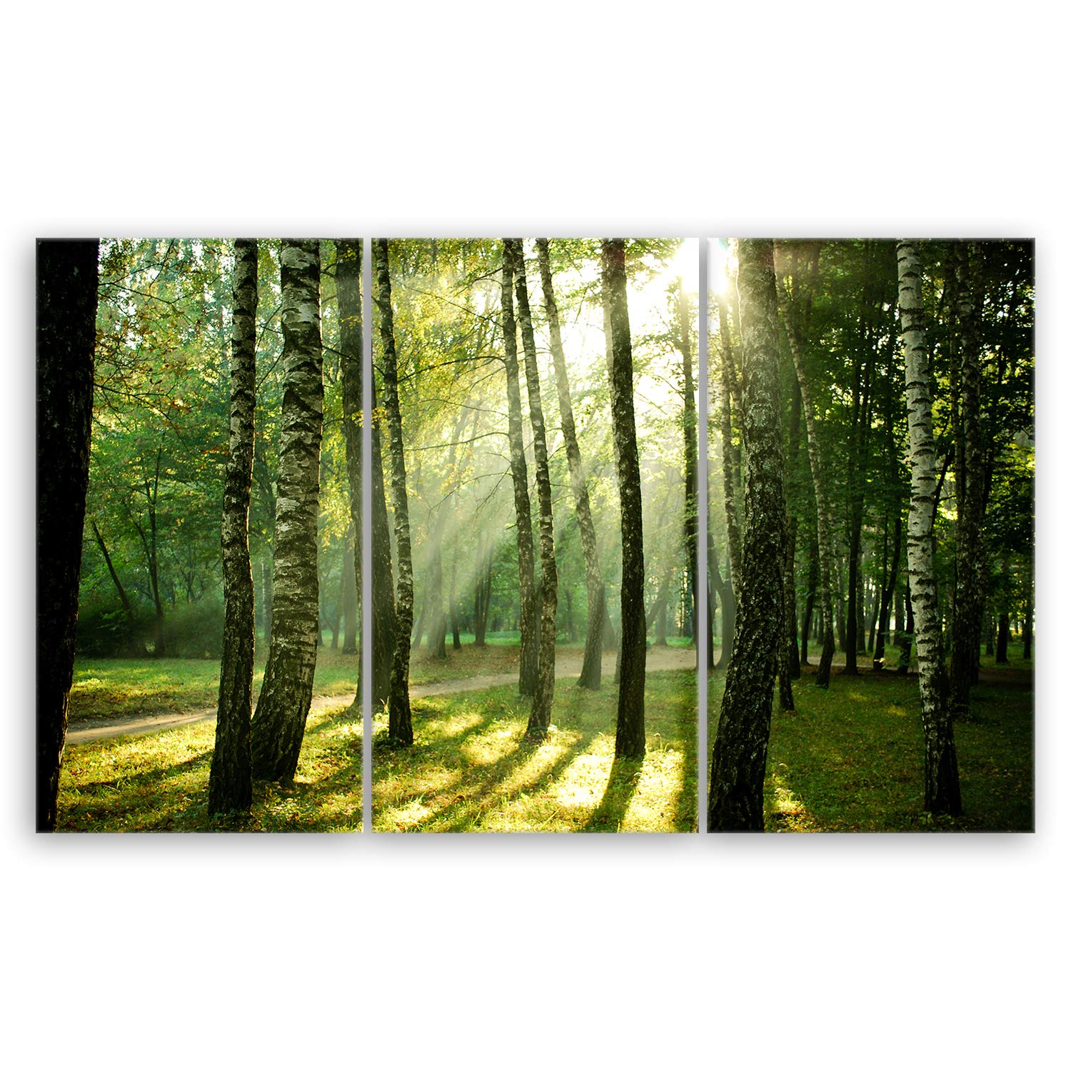 ge Bildet Bild auf Leinwand | Wald - natur blumen Wald Sonnenschein grün I in 165x100 cm mehrteilig als Wandbild XXL | Wand-deko Dekoration Wohnung modern Bilder | 2213