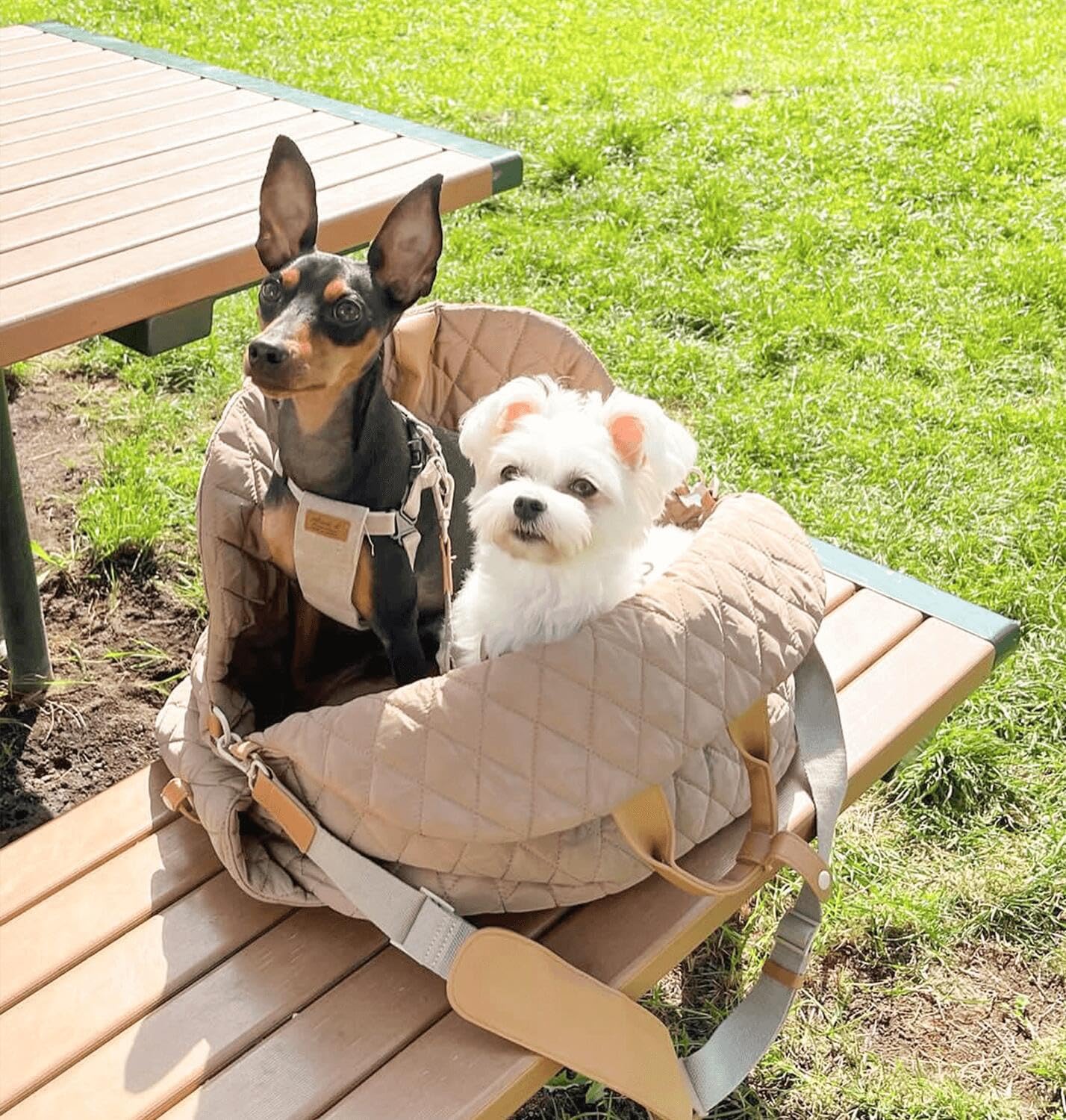 Seggiolino auto per cani di piccola taglia, seggiolini per animali domestici per auto con guinzaglio di sicurezza a clip, rimovibile e lavabile, lettino da viaggio sotto i 11,3 kg