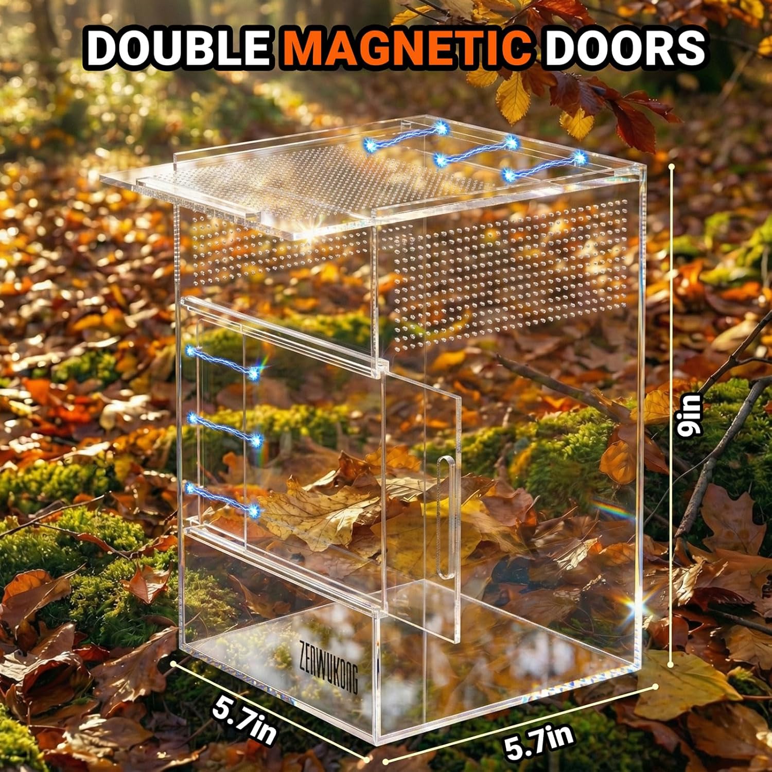 Jumping Spider Enclosure - Acrylic Terrarium Habitat for Spiders, Tarantulas, Snail, Mantis, Lizard, and Small Reptiles, Dual Magnetic Doors (6x6x9 inch)