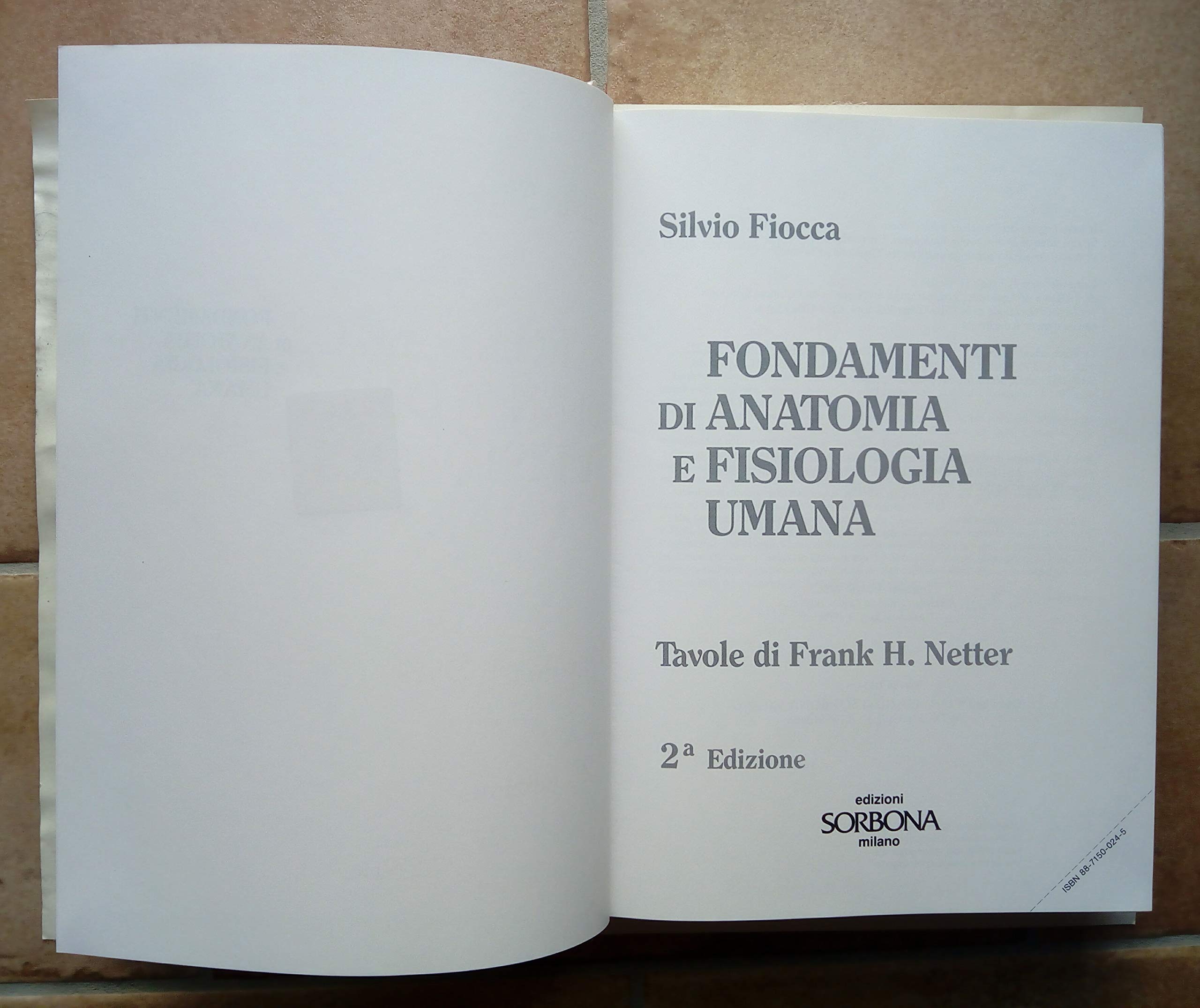 Fondamenti di anatomia e fisiologia umana
