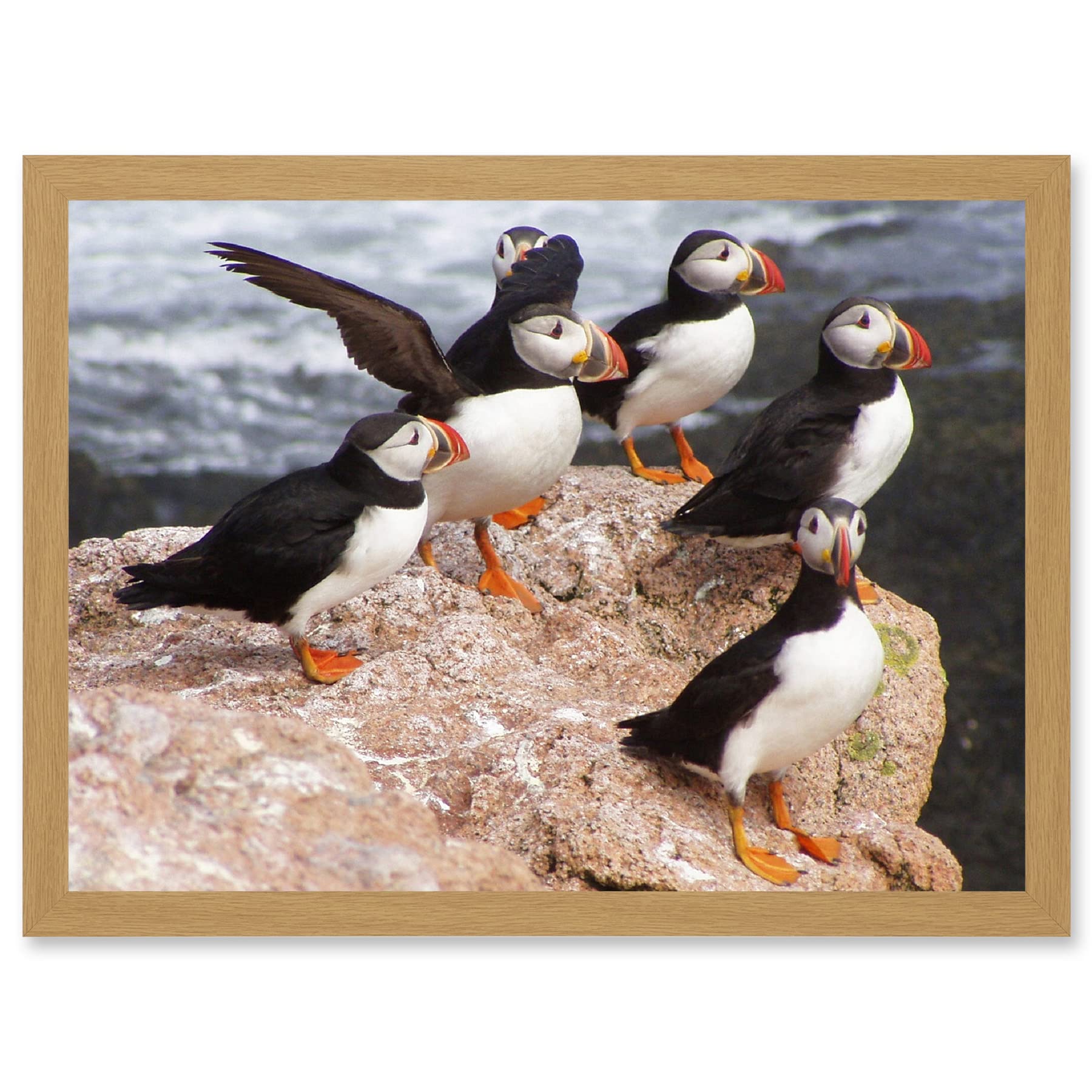 Artery8 Animal North Atlantic Puffins Birds Beach Edge of Ocean Rock Artwork Framed Wall Art Print A4