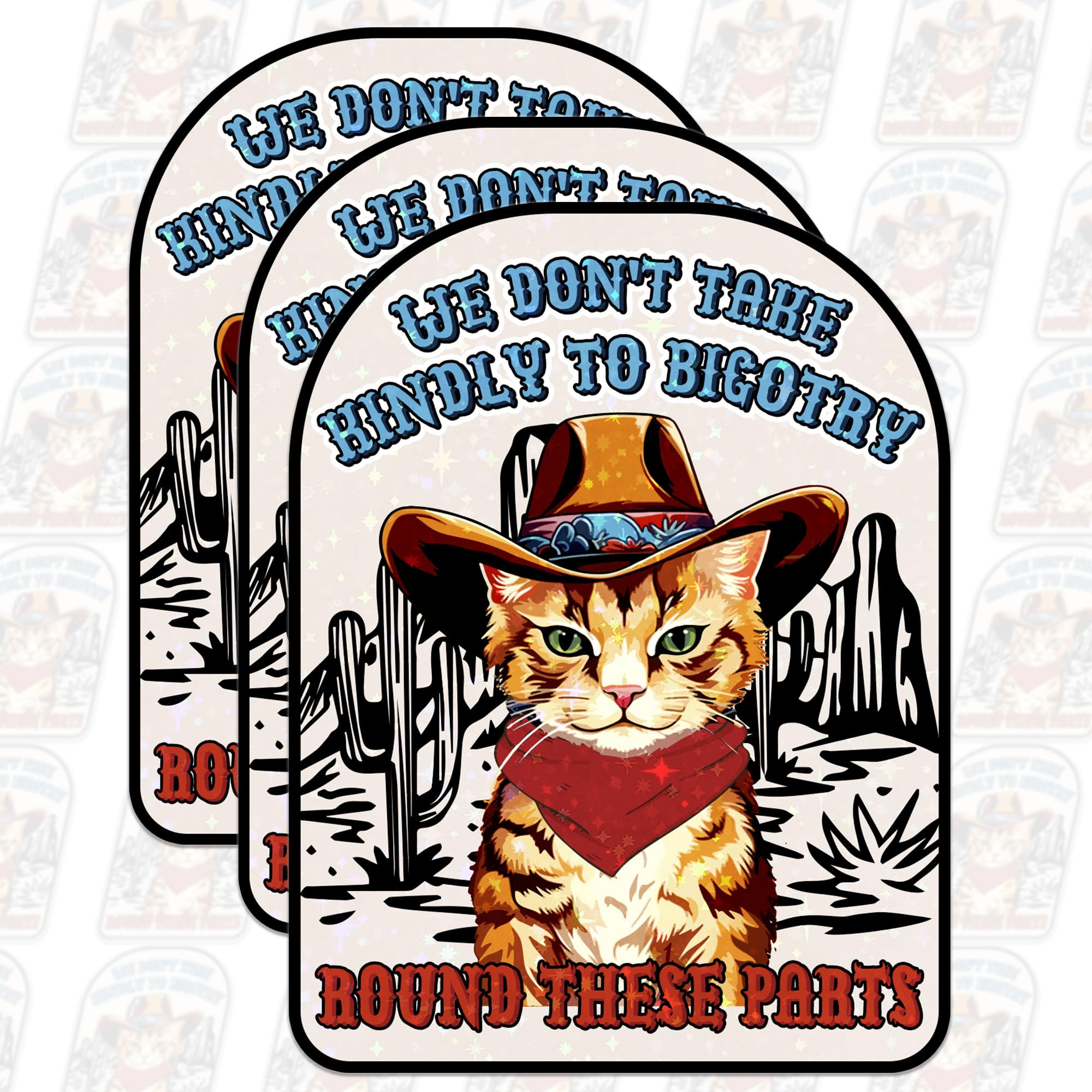 3 Pack We Don't Take Kindly To Bigotry Round These Parts Sticker 3" - Funny Cowboy Cat Western Vinyl Decal - Inclusive LGBTQ Ally Social Justice Gift