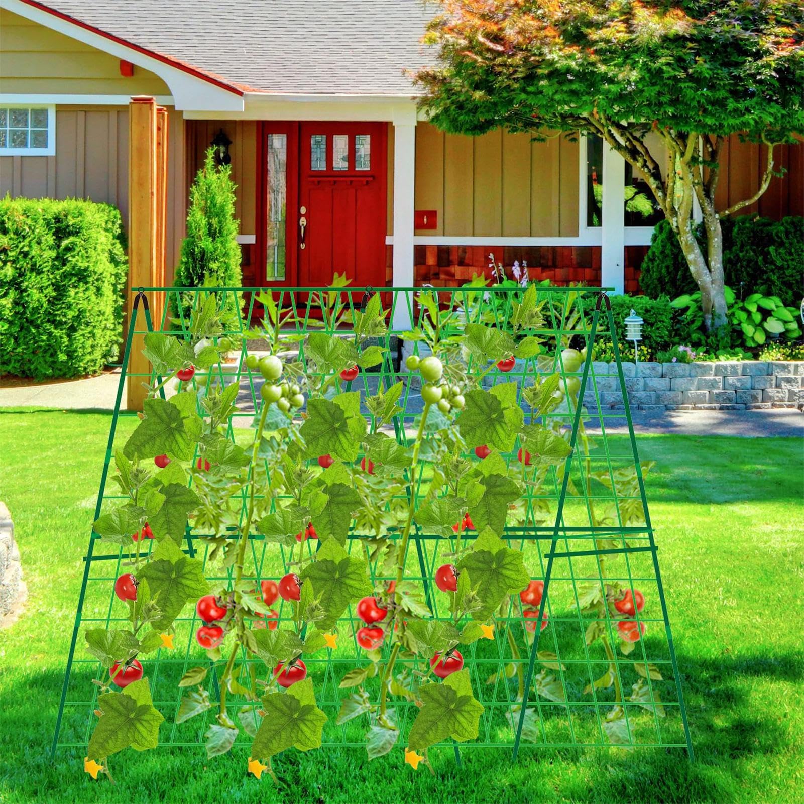 Treillis de – Cage de support pour | Treillis à cadre en A | Structure robuste de 122 cm pour le jardinage surélevé, piquets amovibles pour fruits de vigne, courgettes, courges