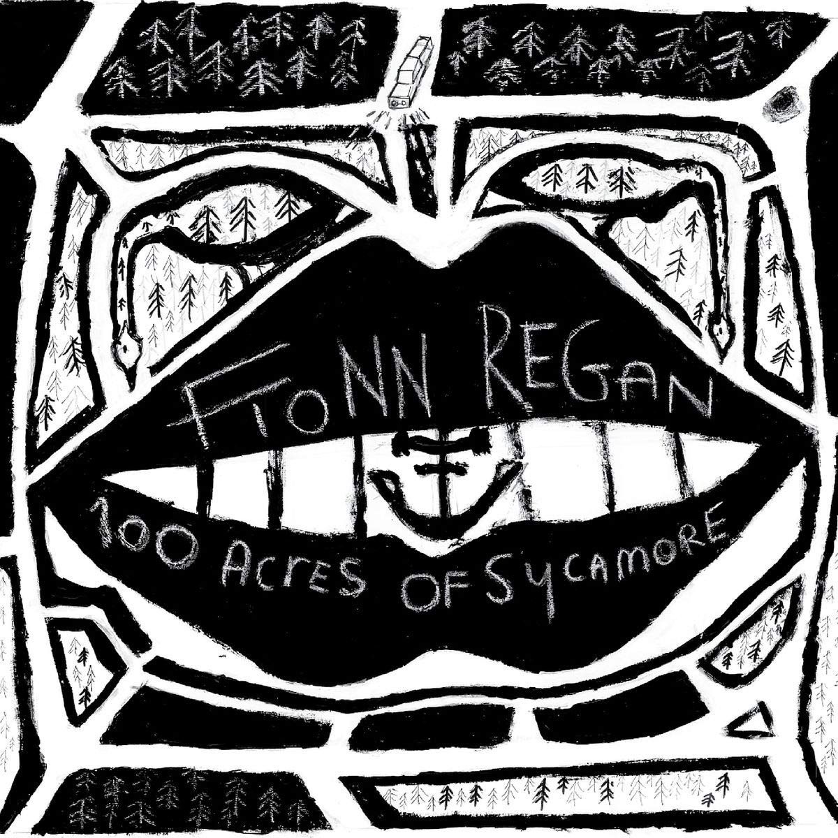 100 Acres of Sycamor [Audio CD] Fionn Regan