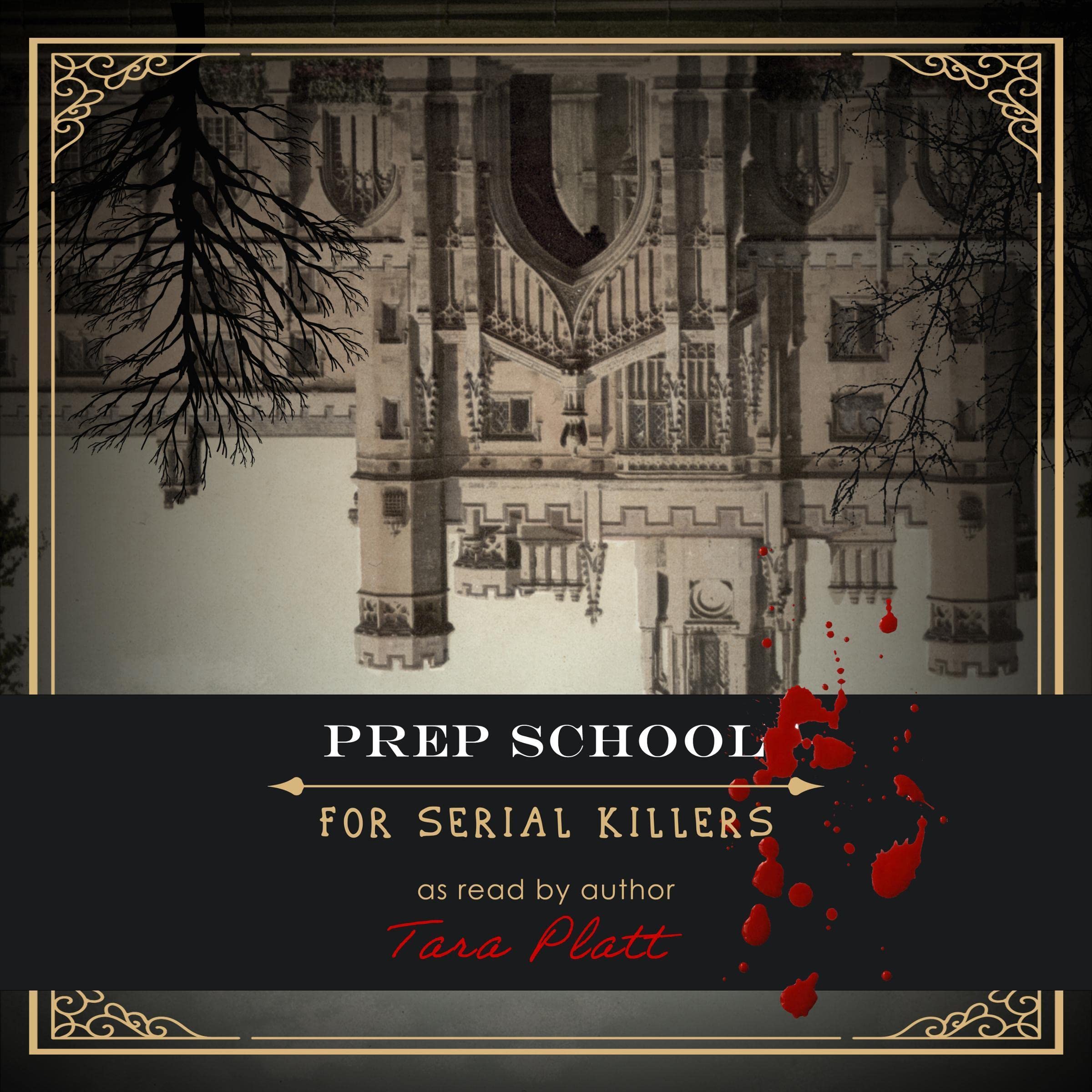 Cover art for Prep School for Serial Killers