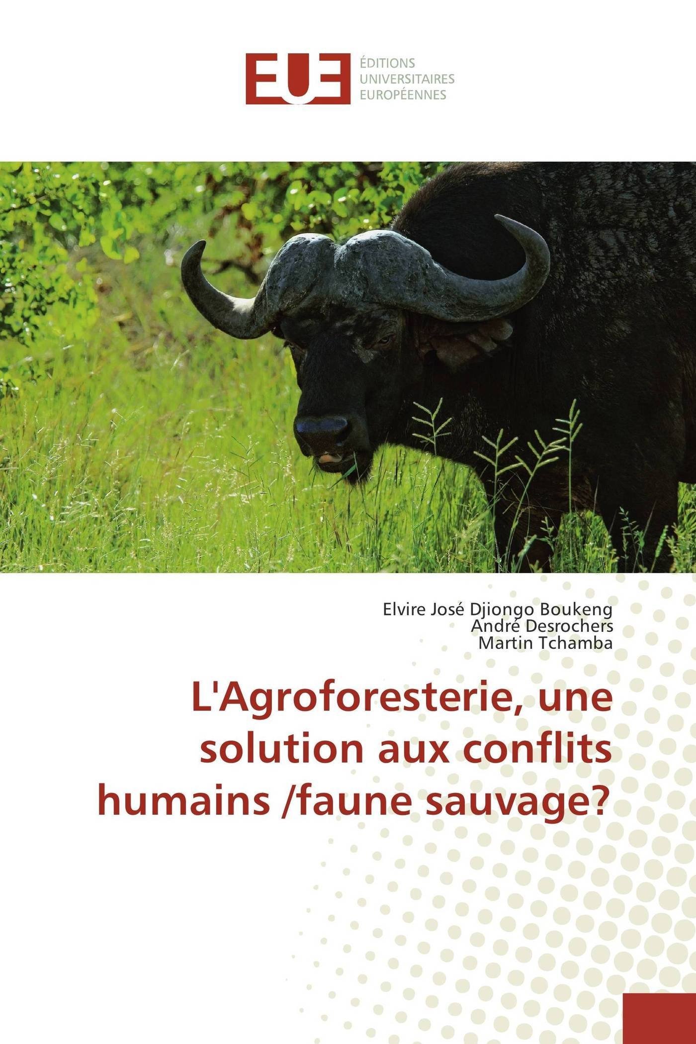 LAgroforesterie, une solution aux conflits humains