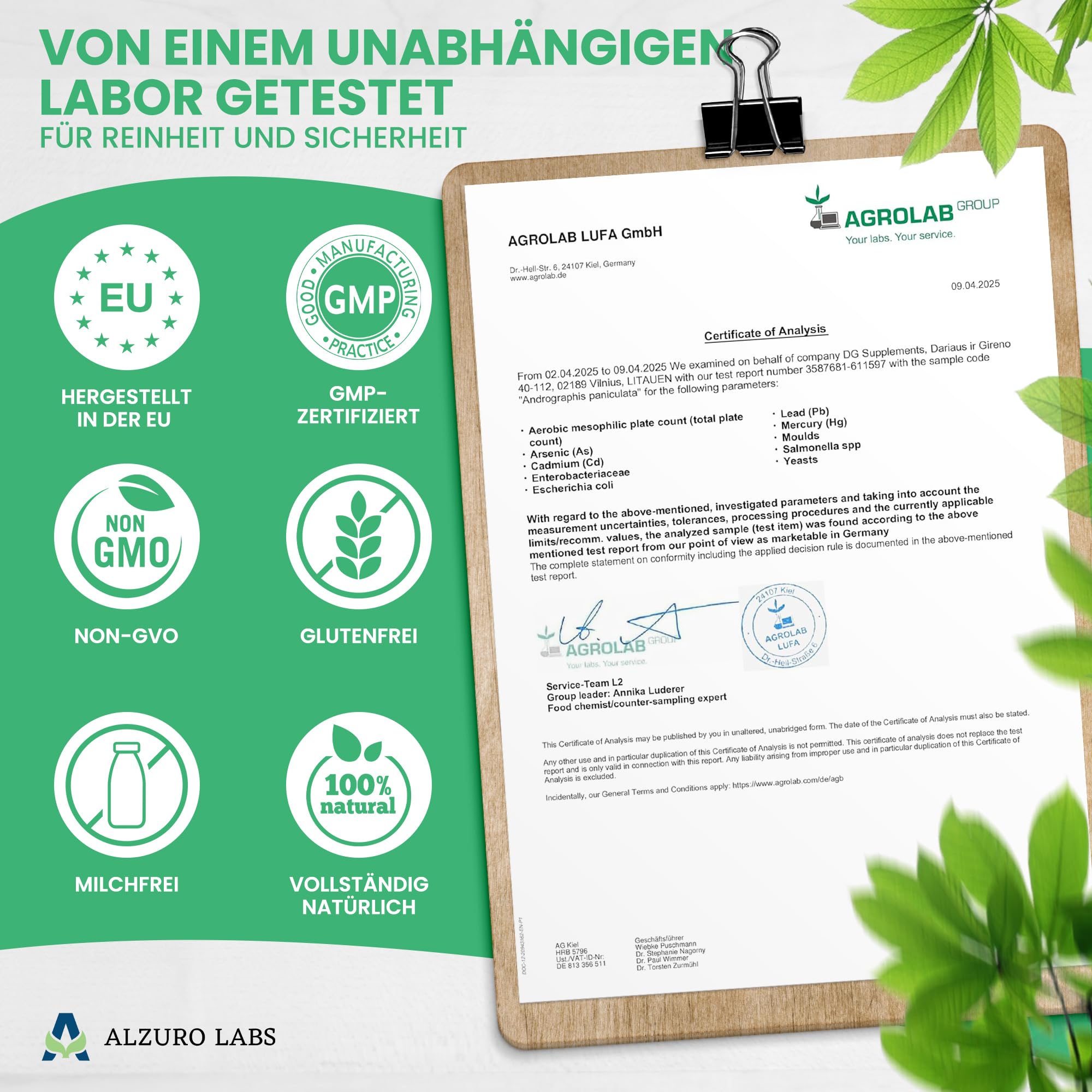 Andrographis paniculata | 8.000 mg Äquivalent | Hochdosiert 400 mg 20:1 Extrakt (10% Andrographolide) | 120 vegane Kapseln | GMP & Laborgeprüft