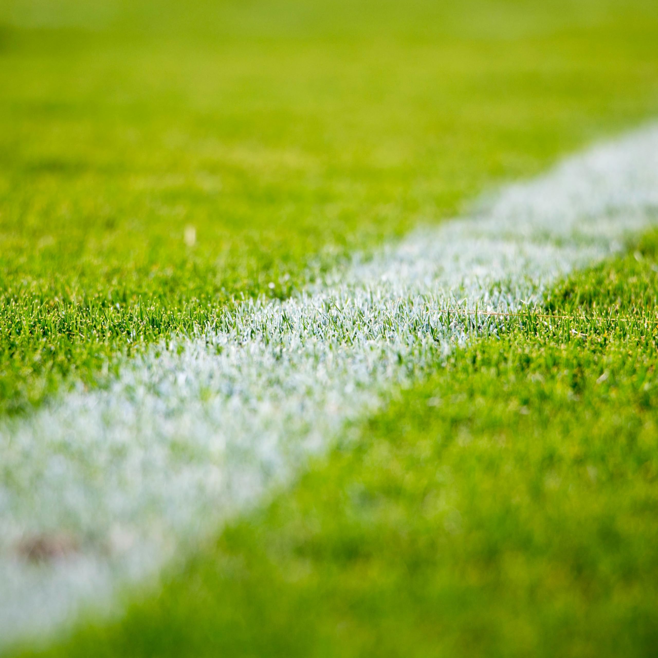 Peinture de Traçage Concentrée, Poche de 2L, pour Terrain de Football et Rugby