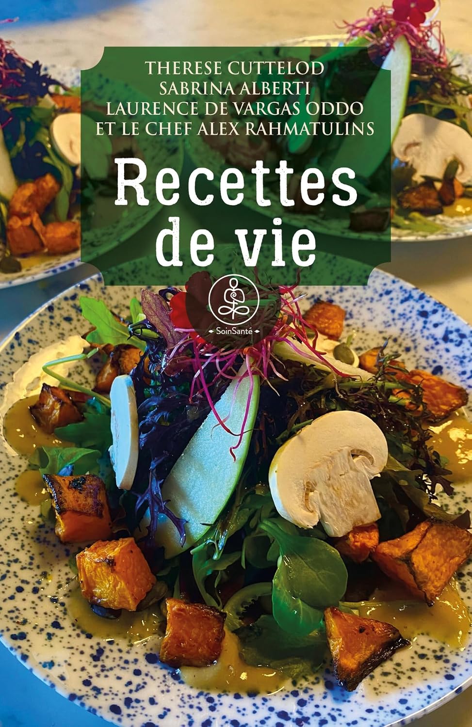 Recettes de vie visual 1