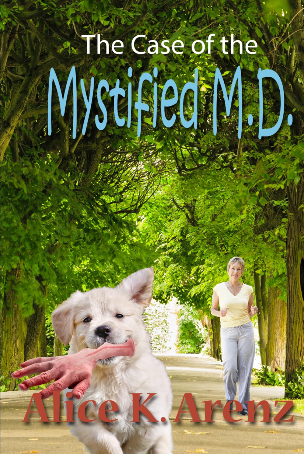 The Case of the Mystified M.D.: Christian Cozy Mystery (Bouncing Grandma Mysteries)
