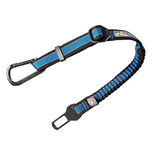 Kurgo Direct to Seatbelt Swivel Tether for Dogs Universal Car Seat Belt for Pets Adjustable Length Dog Safety Belt Carabiner Clip Easy Installation Compatible with Any Pet Harness (Blue)