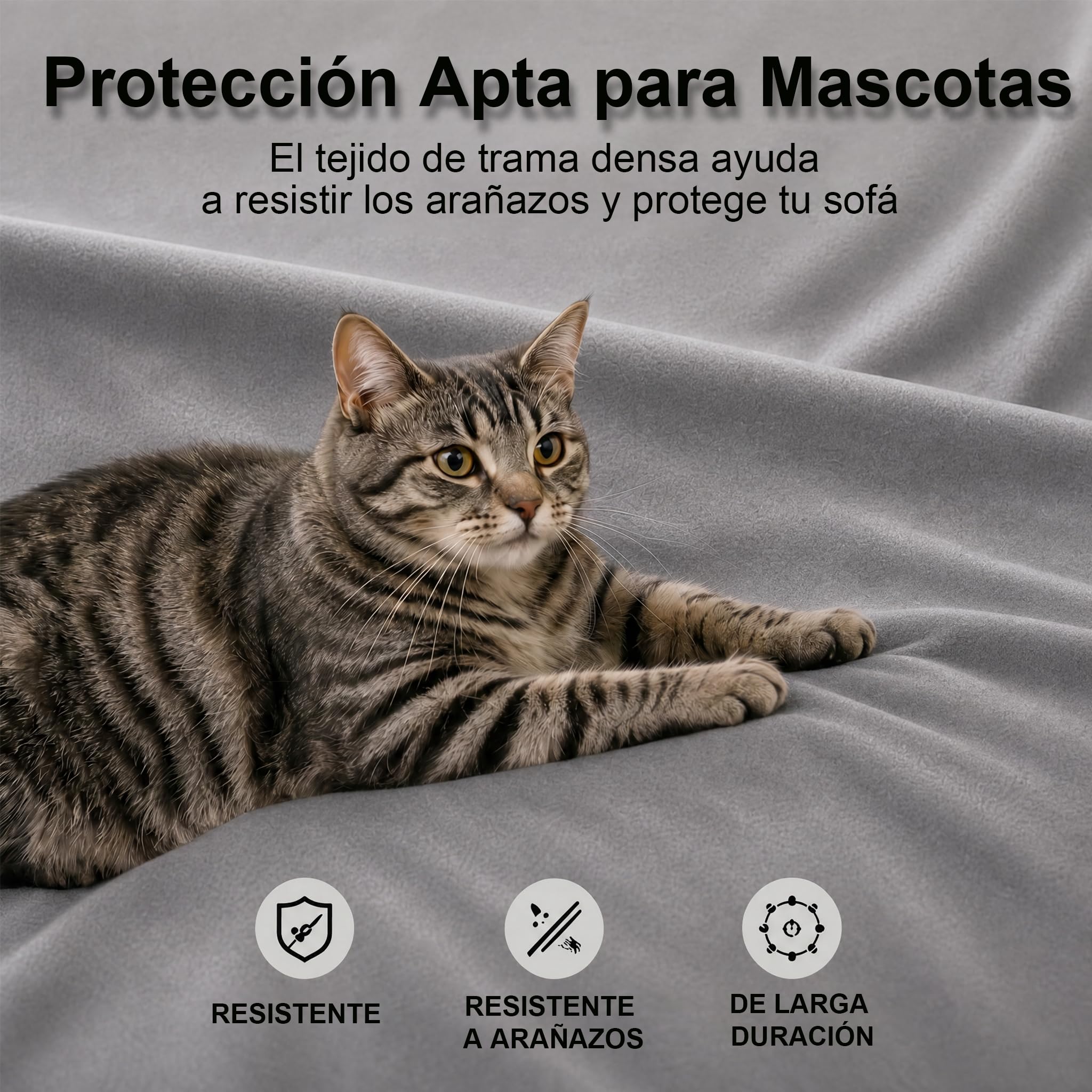 Loiion Protector Funda Sofa Cómodo y Suave, Funda Antiarañazos Gatos Sofa, Fundas Sofas 3 y 2 Plazas, Impermeab Cubierta de Sofá, Antideslizante Antimanchas Fundas Protectora de Sofá Gris 300x180cm